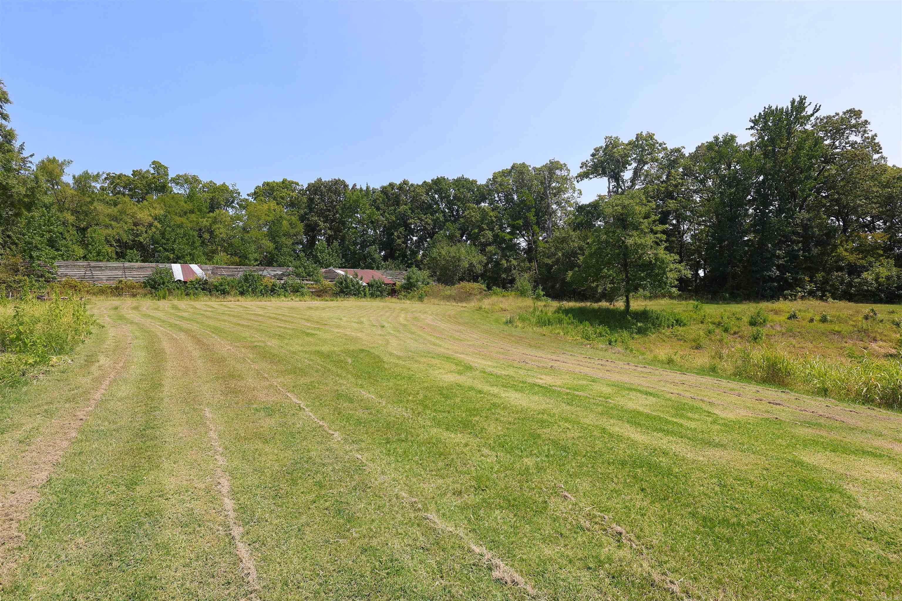 80 Parliment  Mount Ida, AR