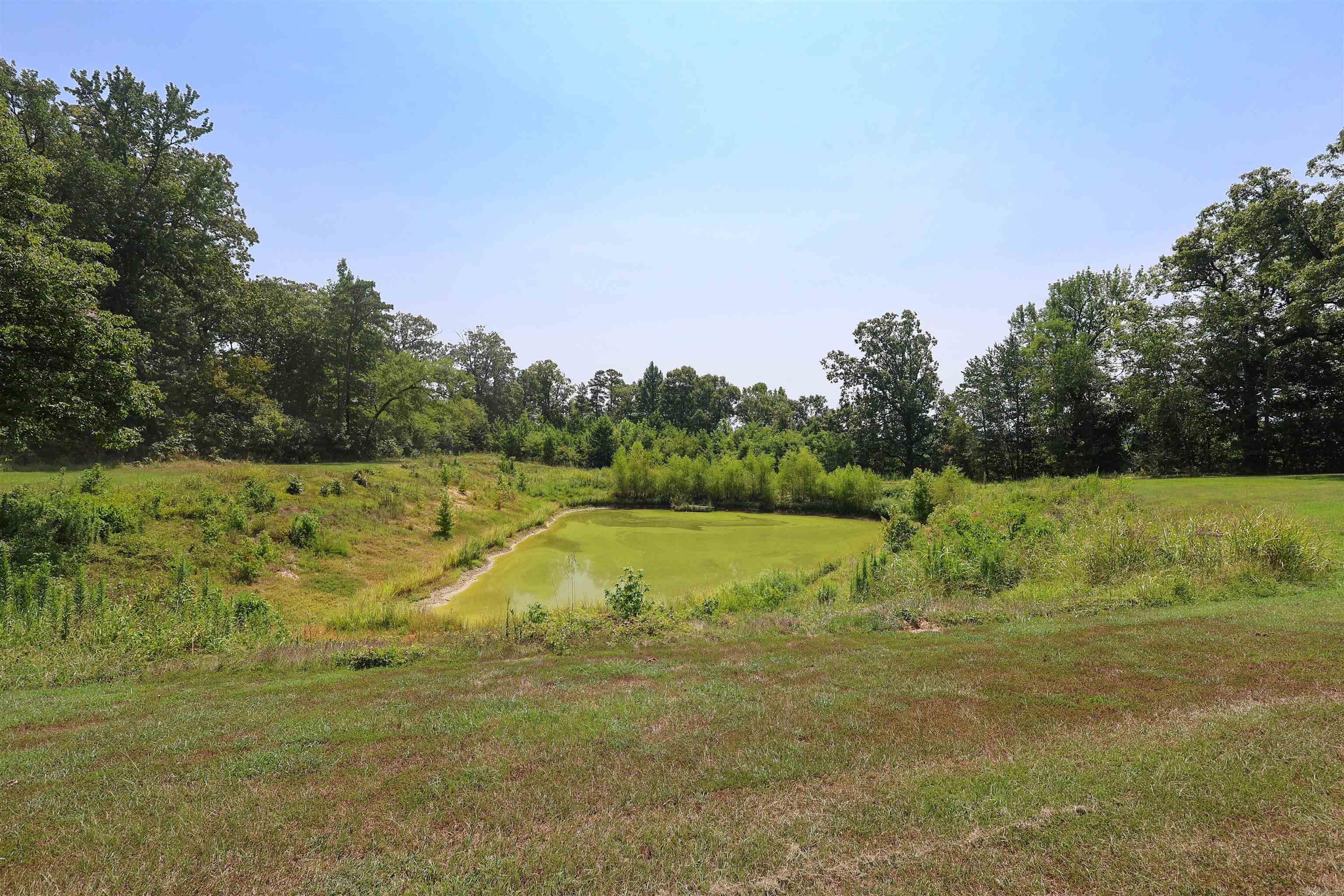 80 Parliment  Mount Ida, AR