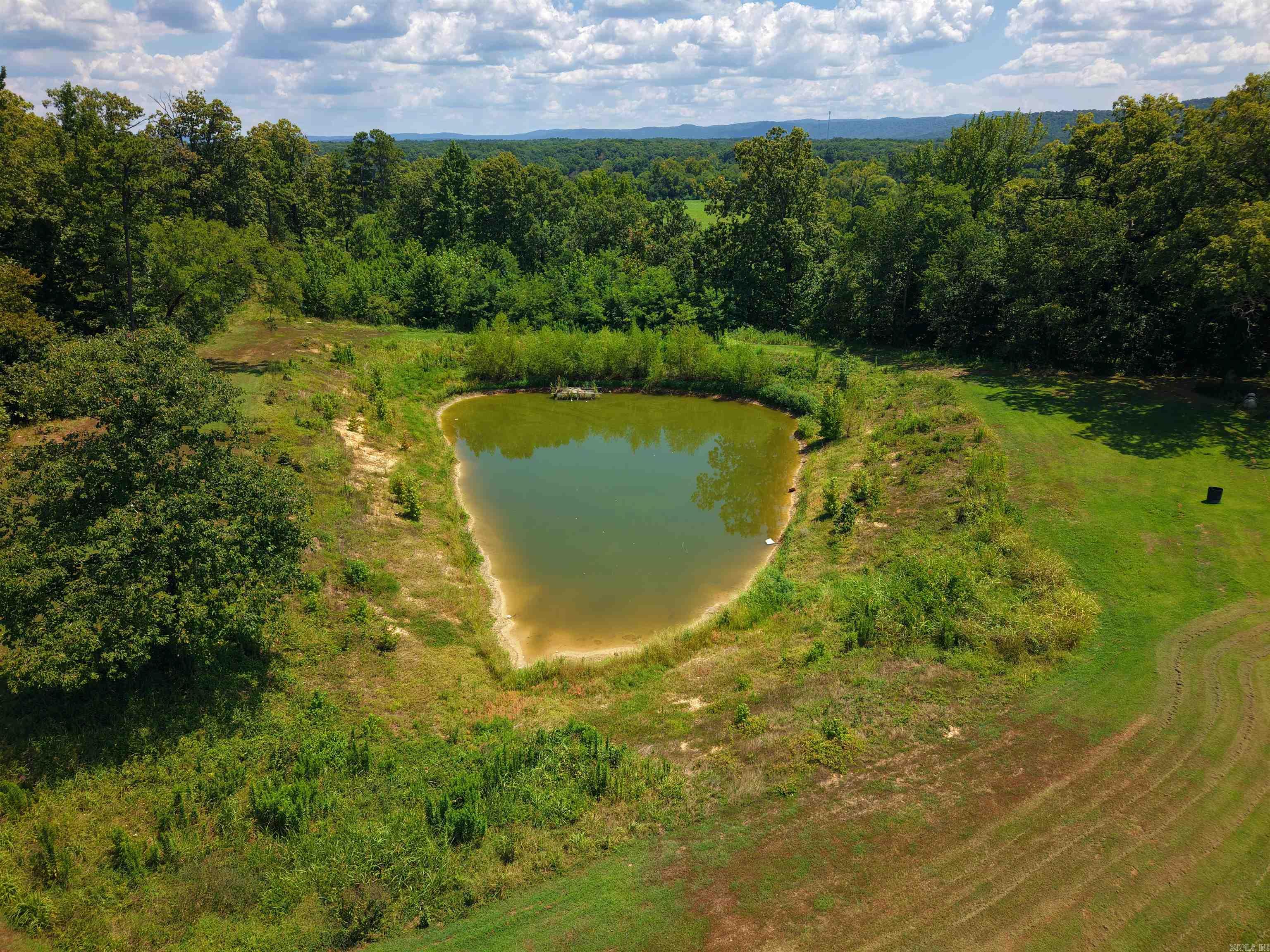 80 Parliment  Mount Ida, AR