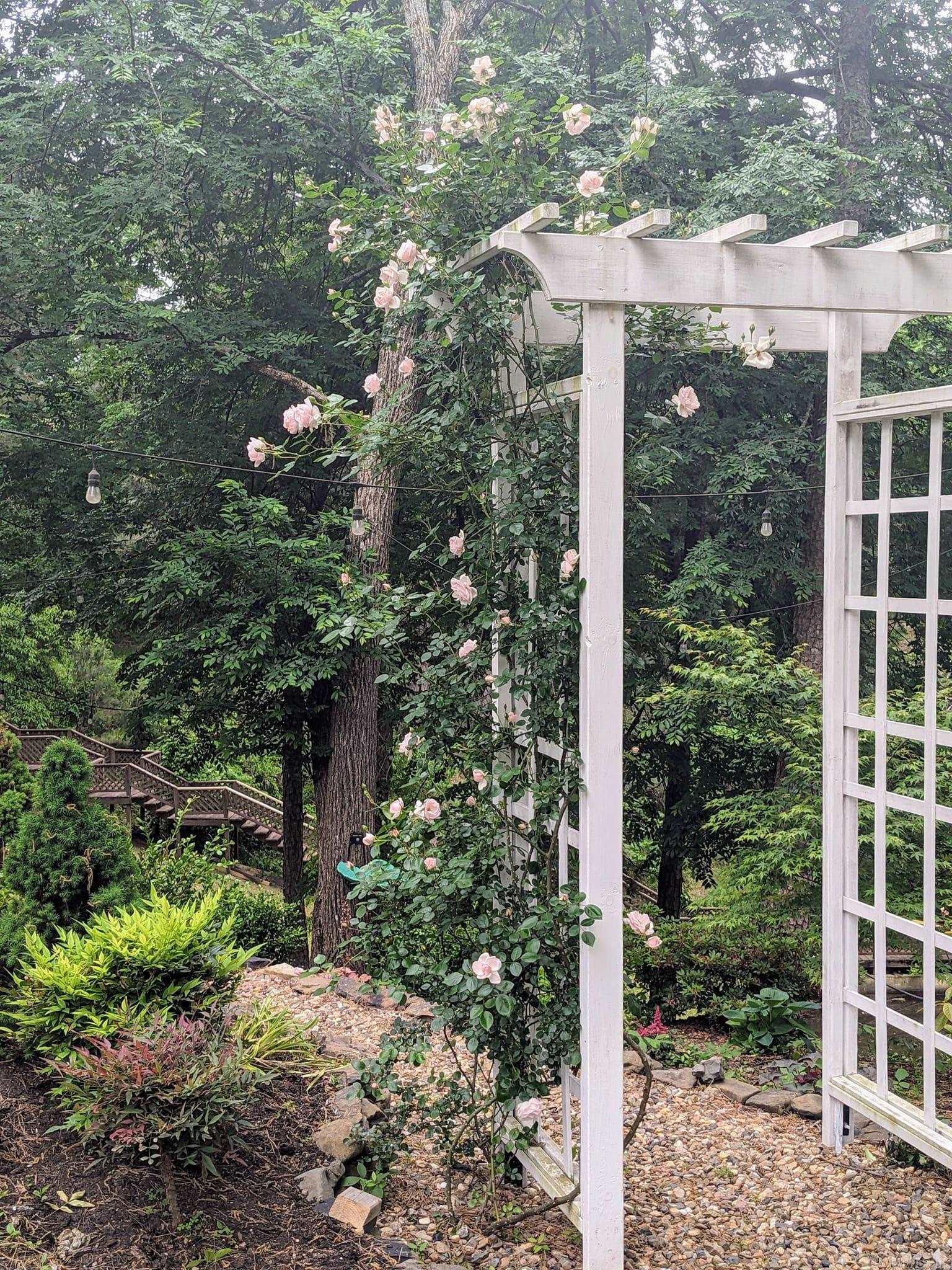 109 Buster Reed  Hot Springs, AR