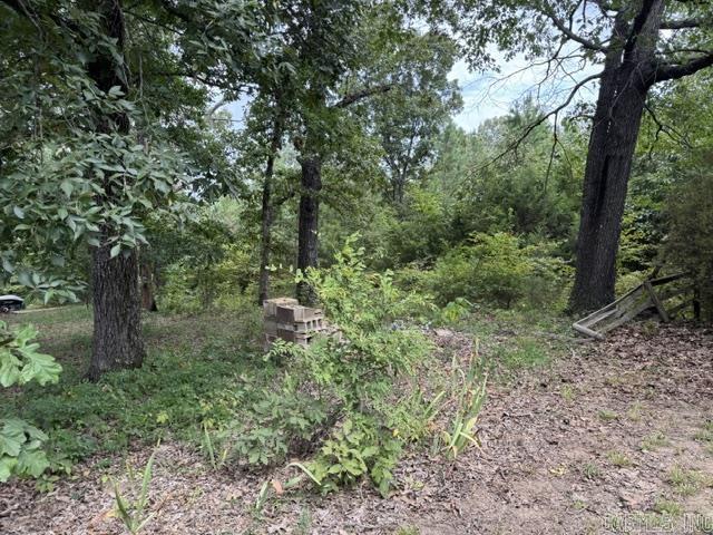 13371 Hwy. 115  Maynard, AR