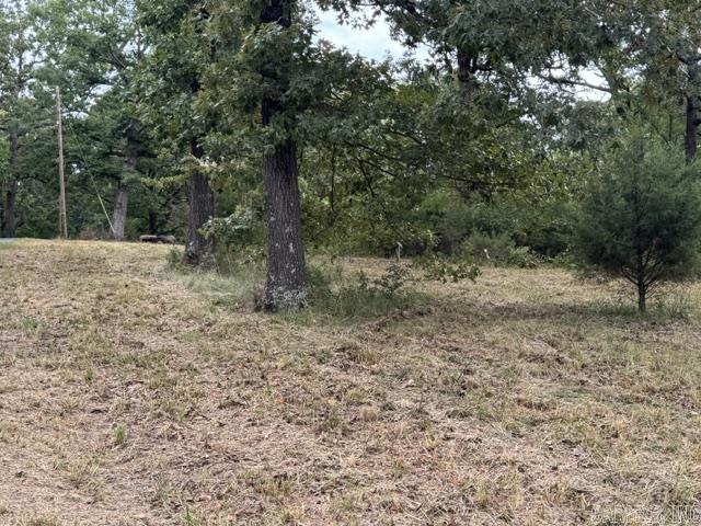 13371 Hwy. 115  Maynard, AR