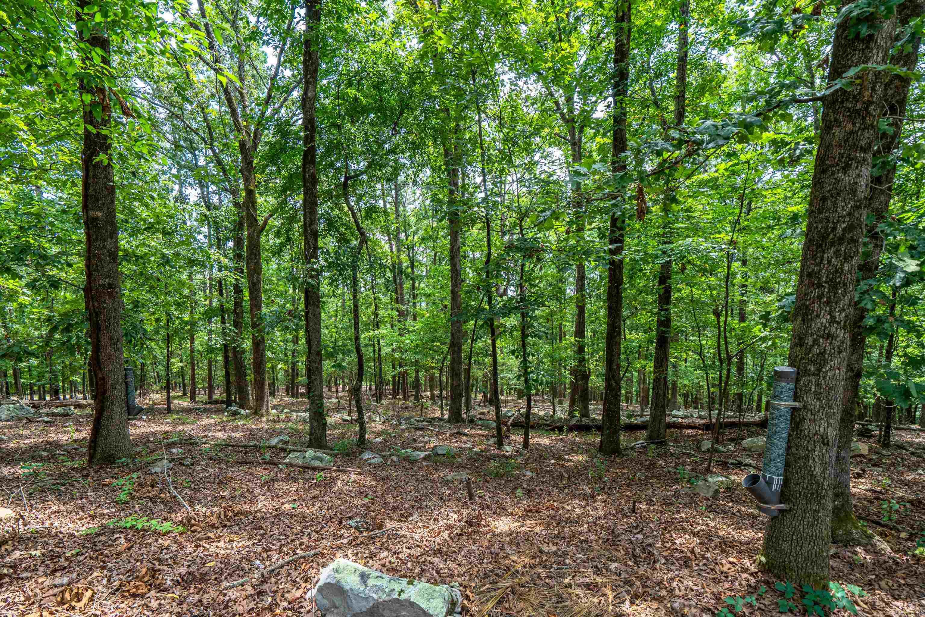27 Barcelona  Hot Springs Village, AR