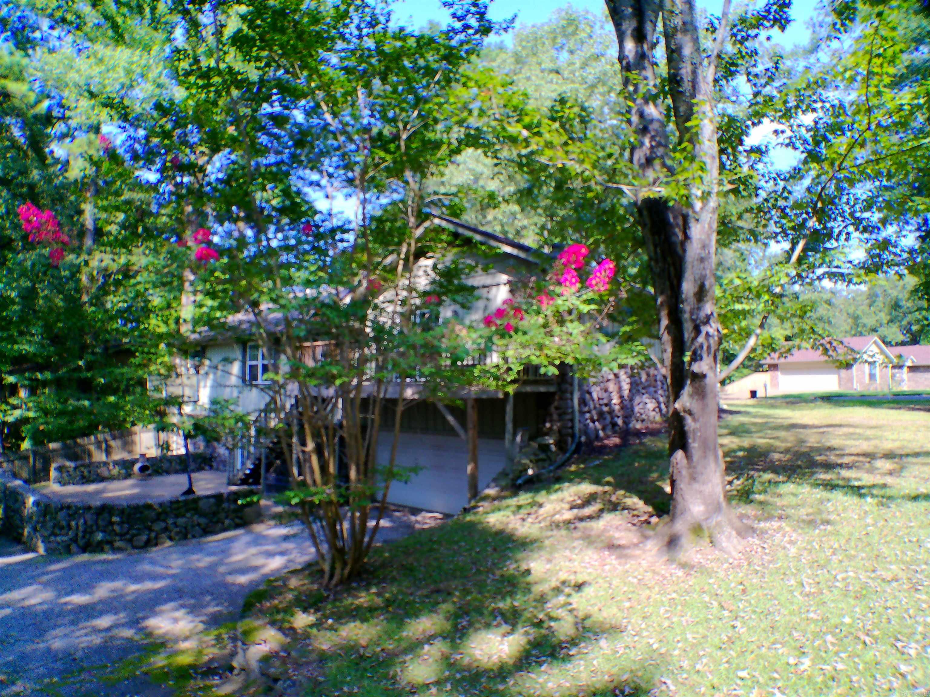 1 Ivy  Arkadelphia, AR