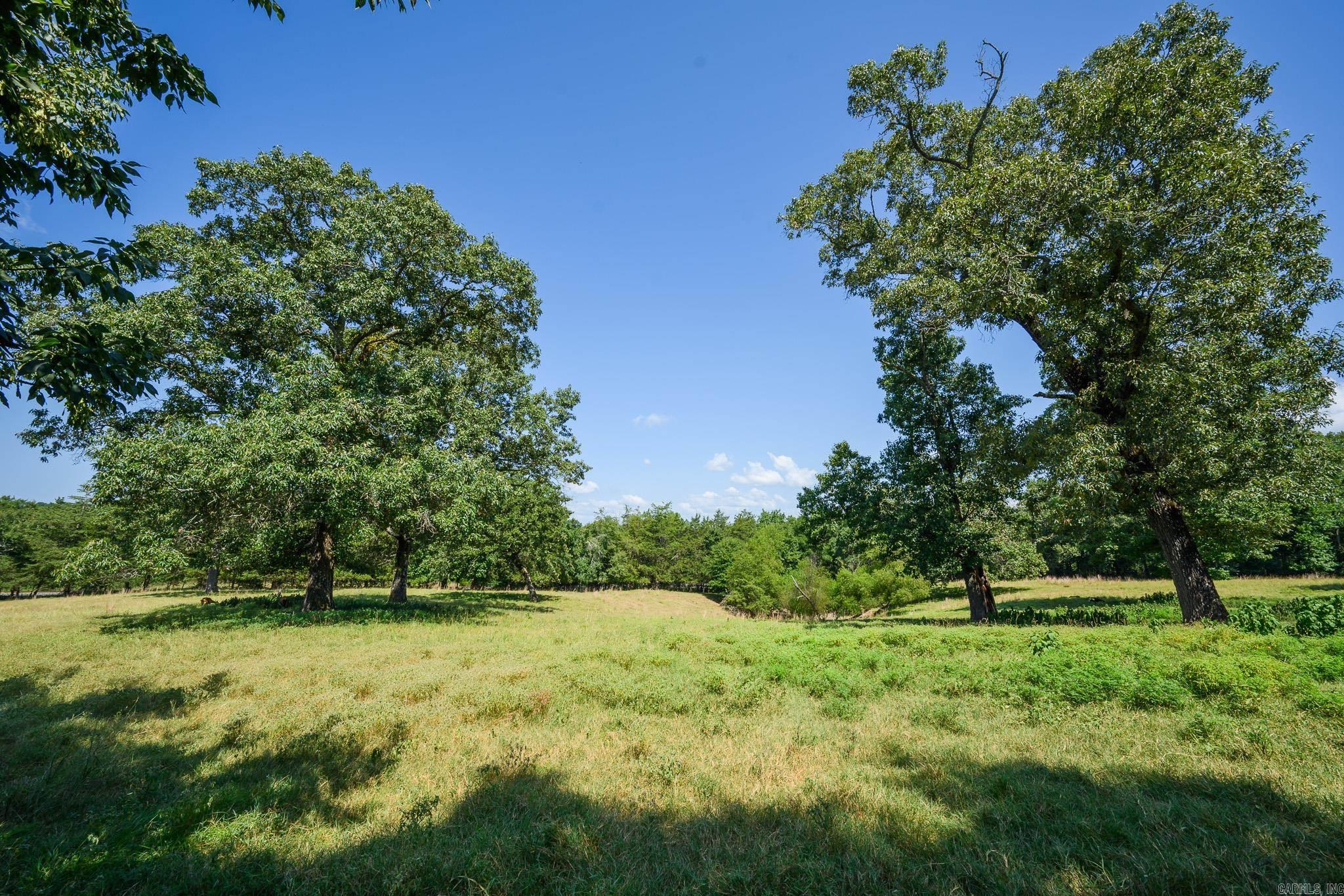 177 Polk Road 37  Mena, AR
