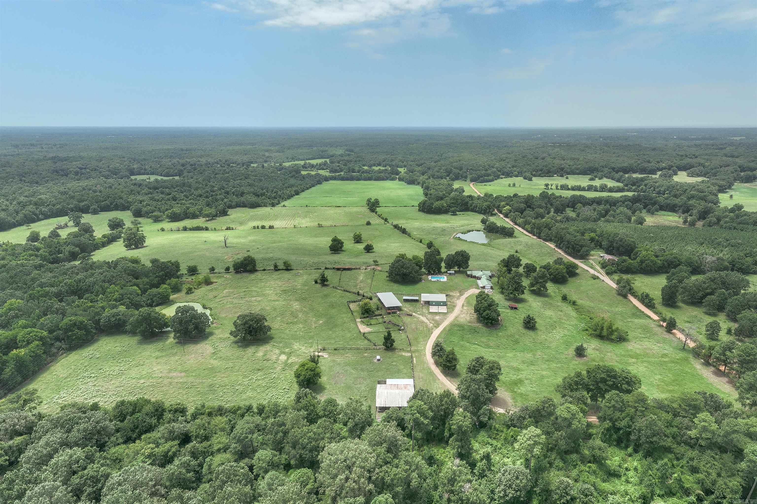137 Pickering  Horatio, AR