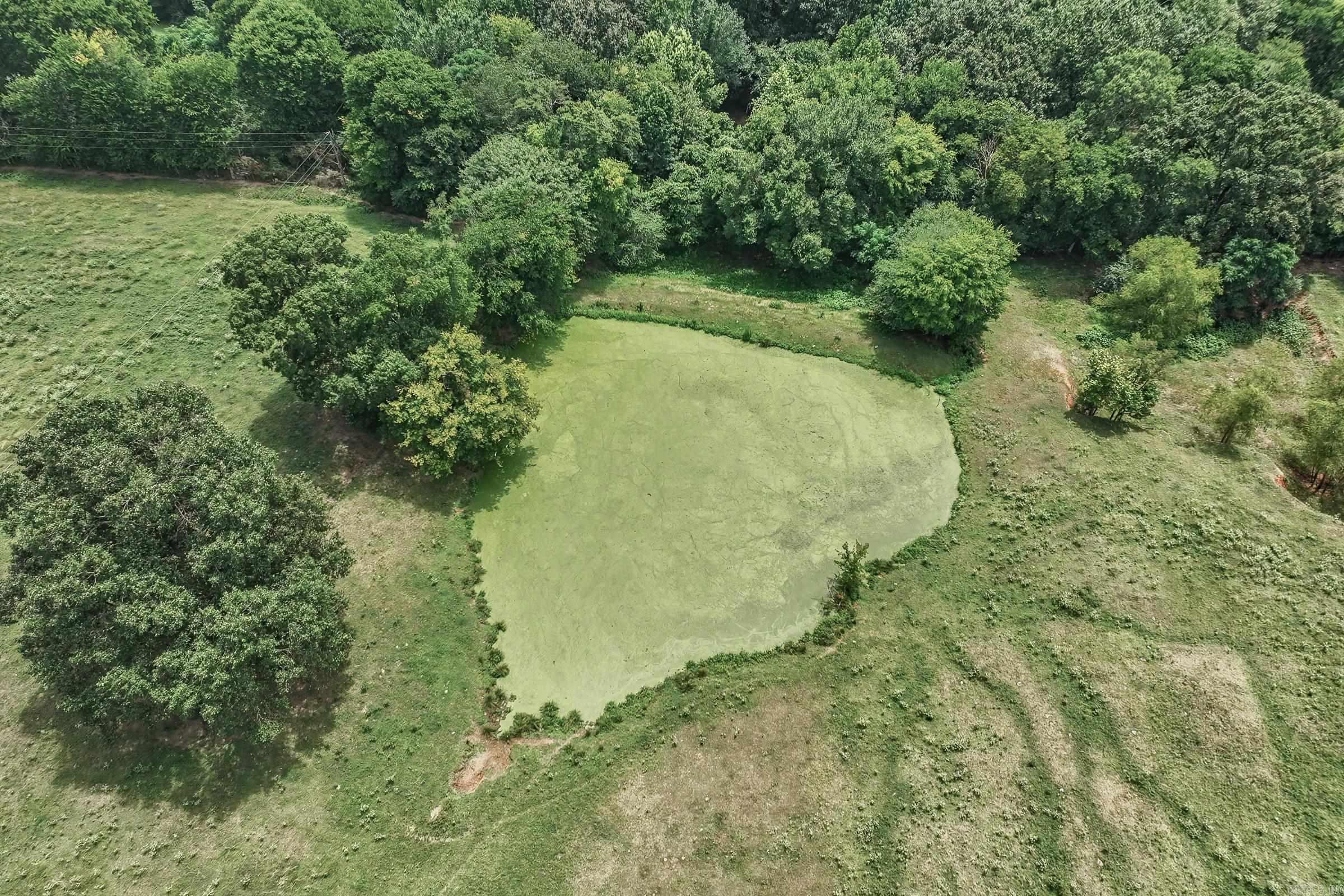 137 Pickering Drive Horatio, AR 71842