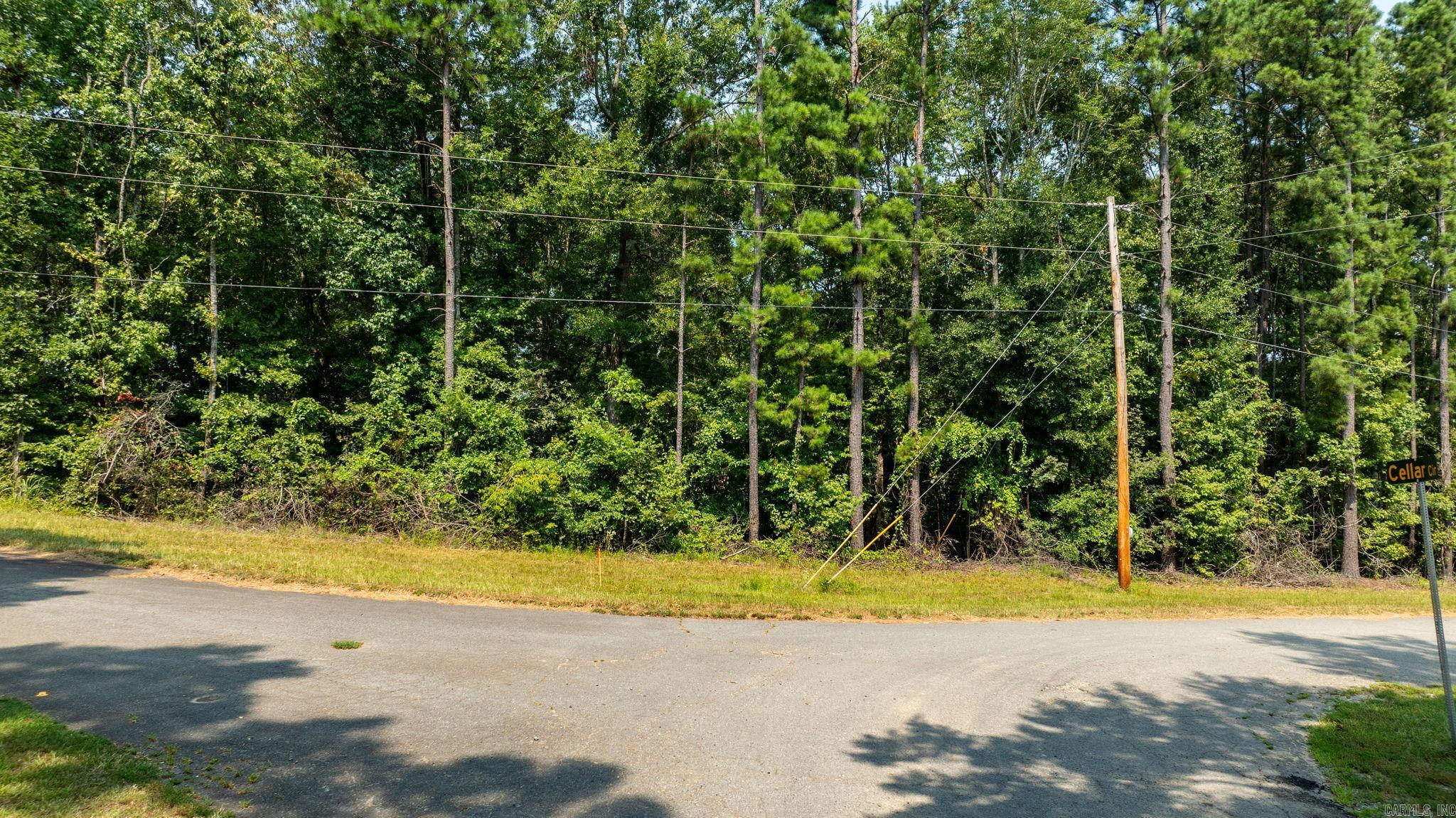 Sarlo Dr — photo 2