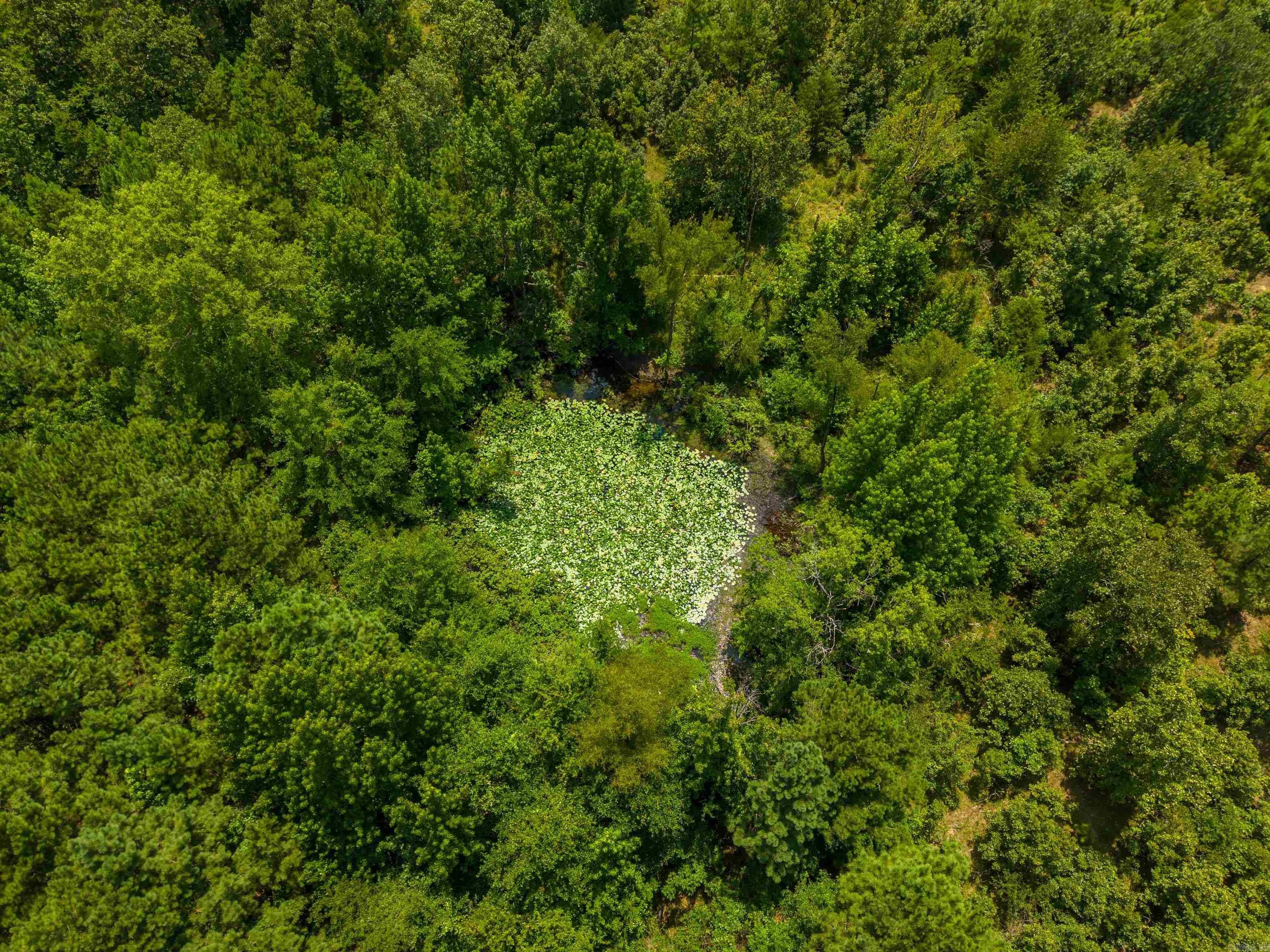 3508 Marion Anderson  Hot Springs, AR