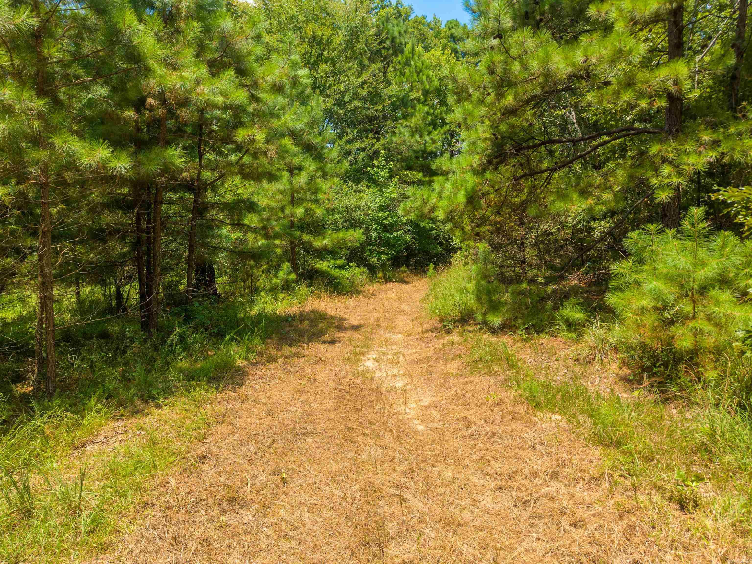 3508 Marion Anderson  Hot Springs, AR