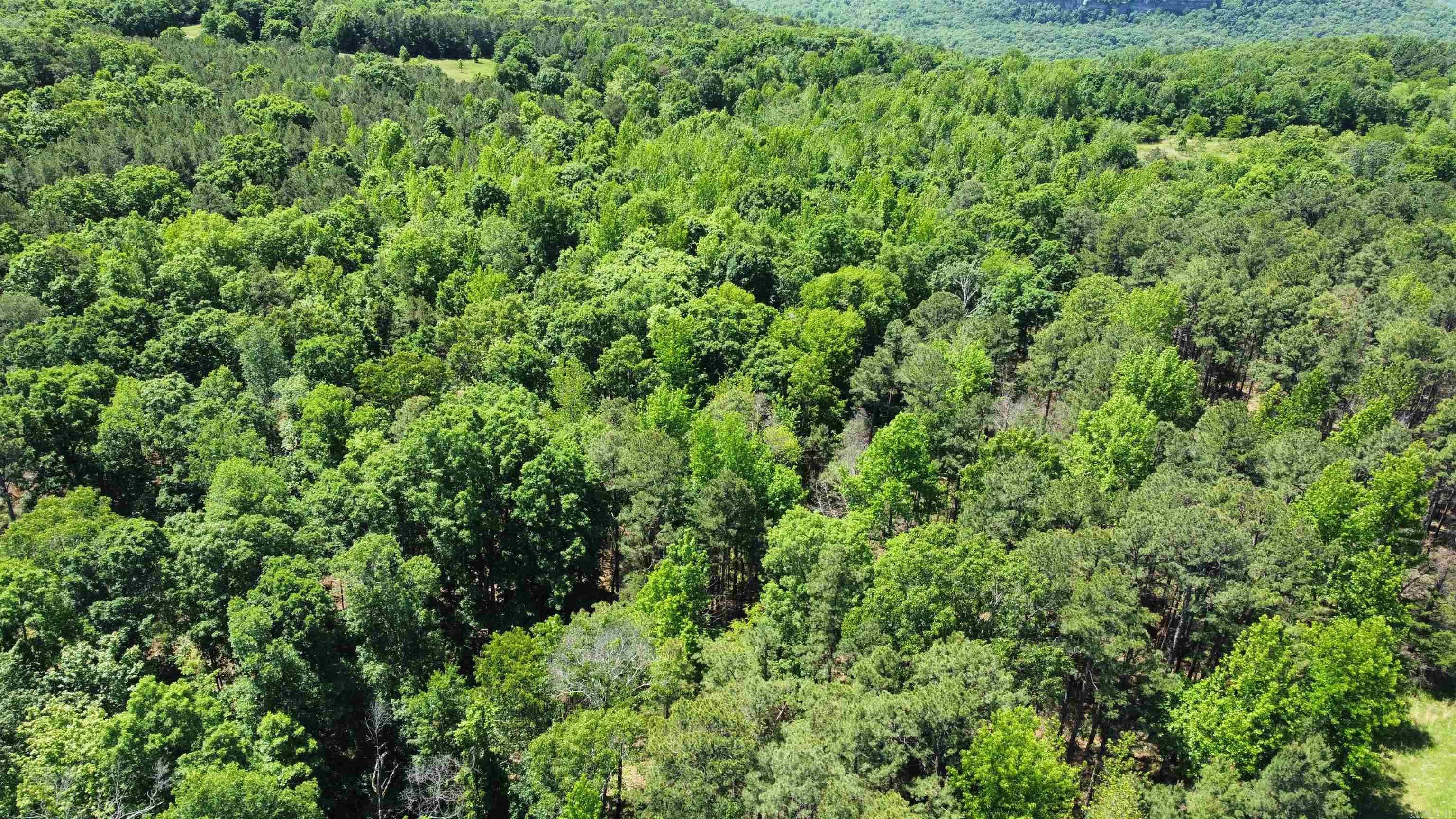 3109 Red River  Fox, AR