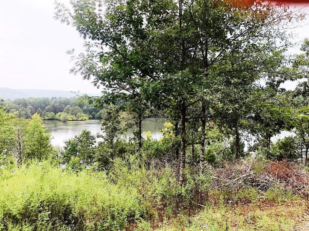 0 Eagle Drive — photo 2