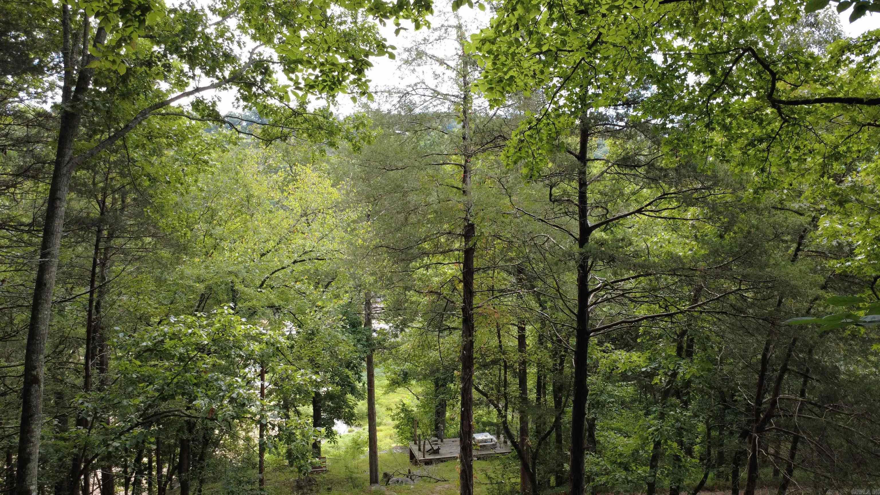 272 and 222 Peace Mountain  Mountain View, AR