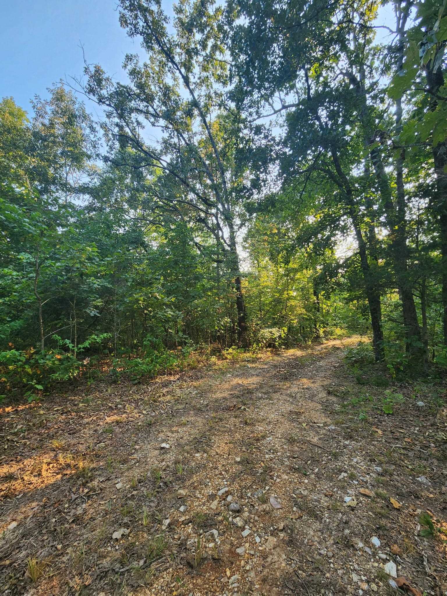 Tbd Off S 63 Highway Highway