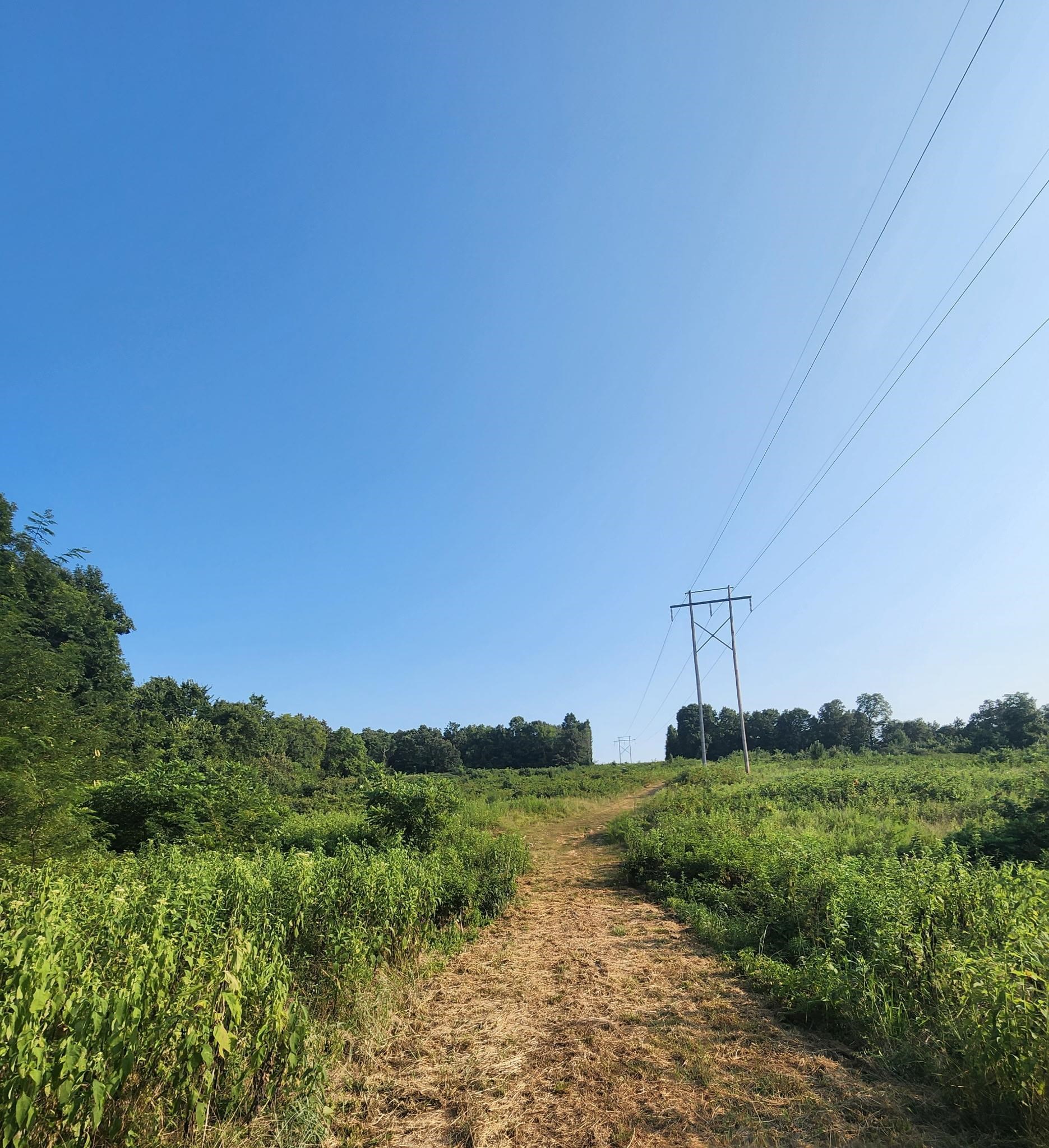 Tbd Off S 63 Highway Highway