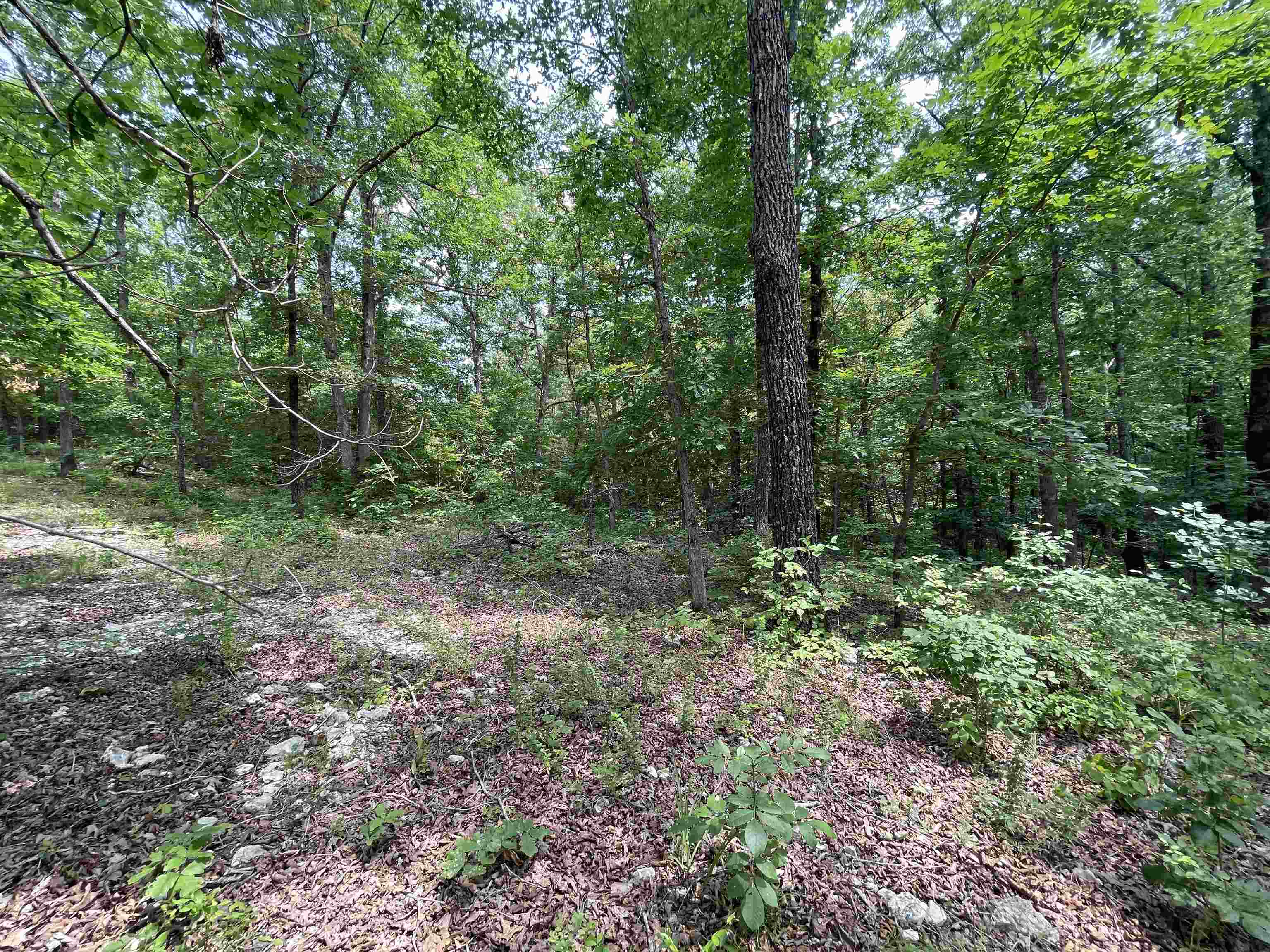 Tbd Off S 63 Highway Highway