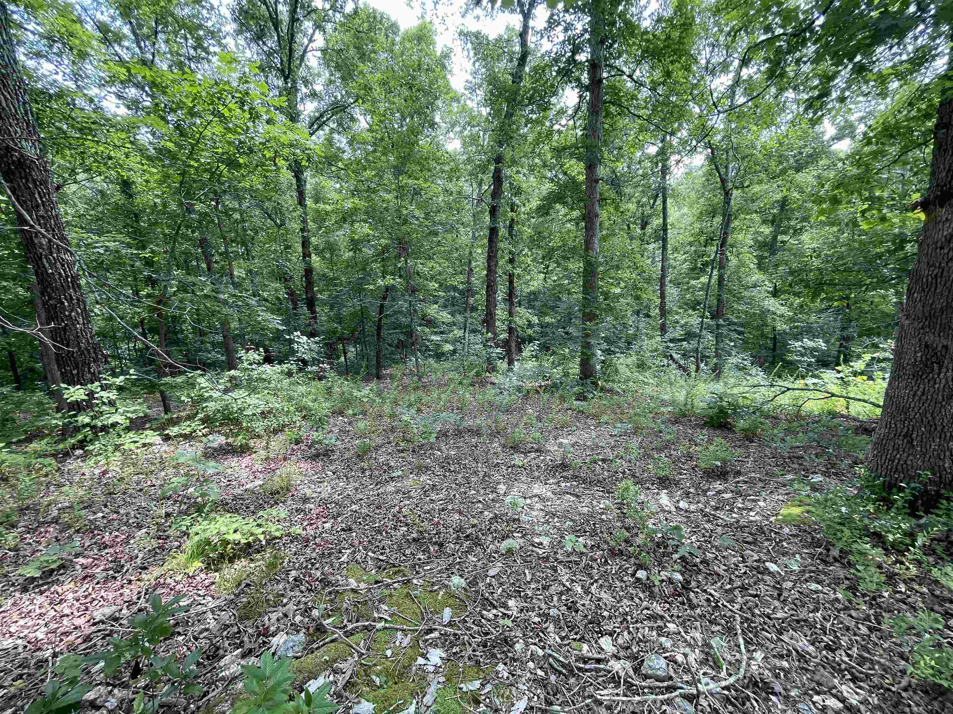 Tbd Off S 63 Highway Highway