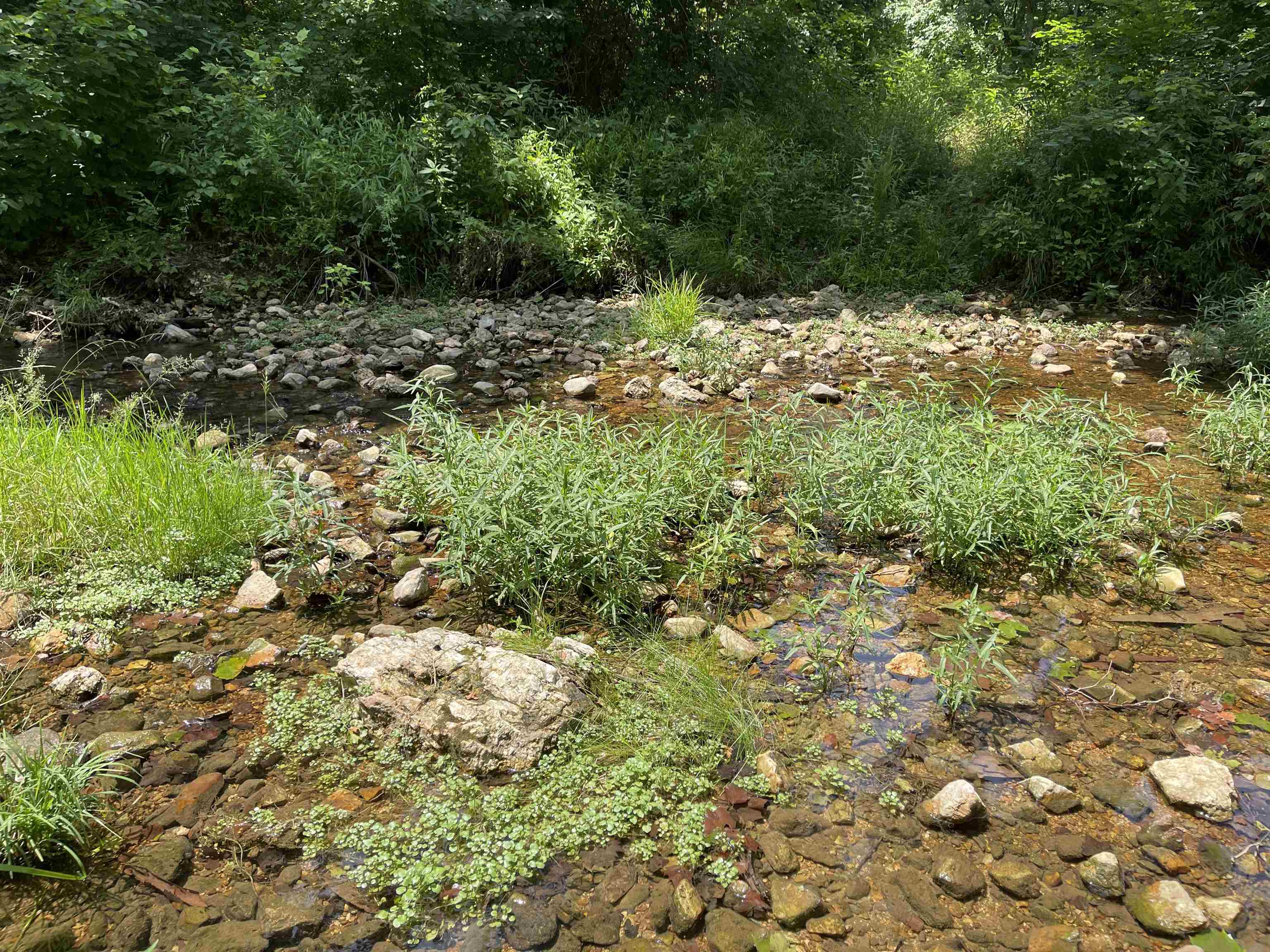 Tbd Off S 63 Highway Highway