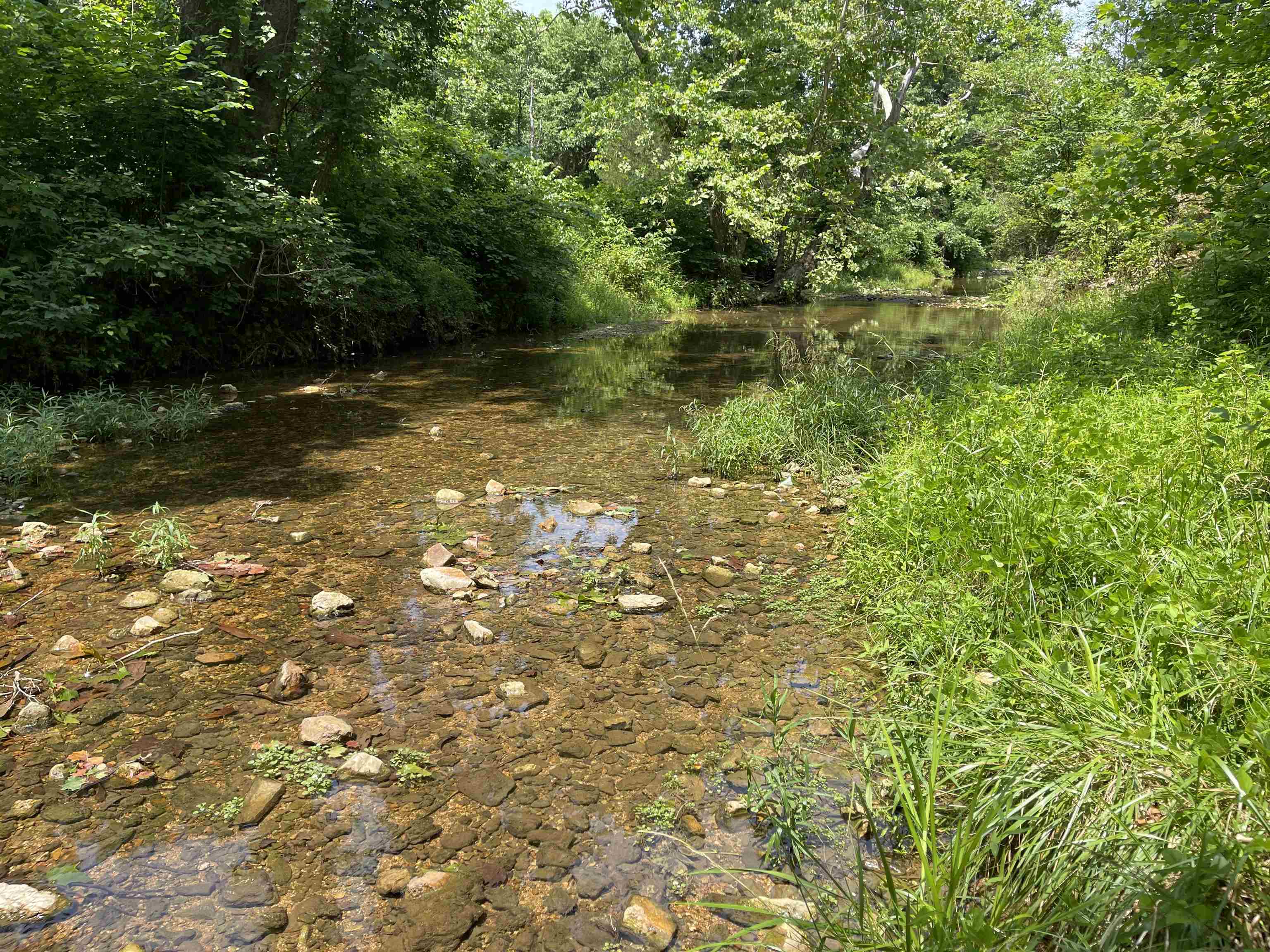 Tbd Off S 63 Highway Highway