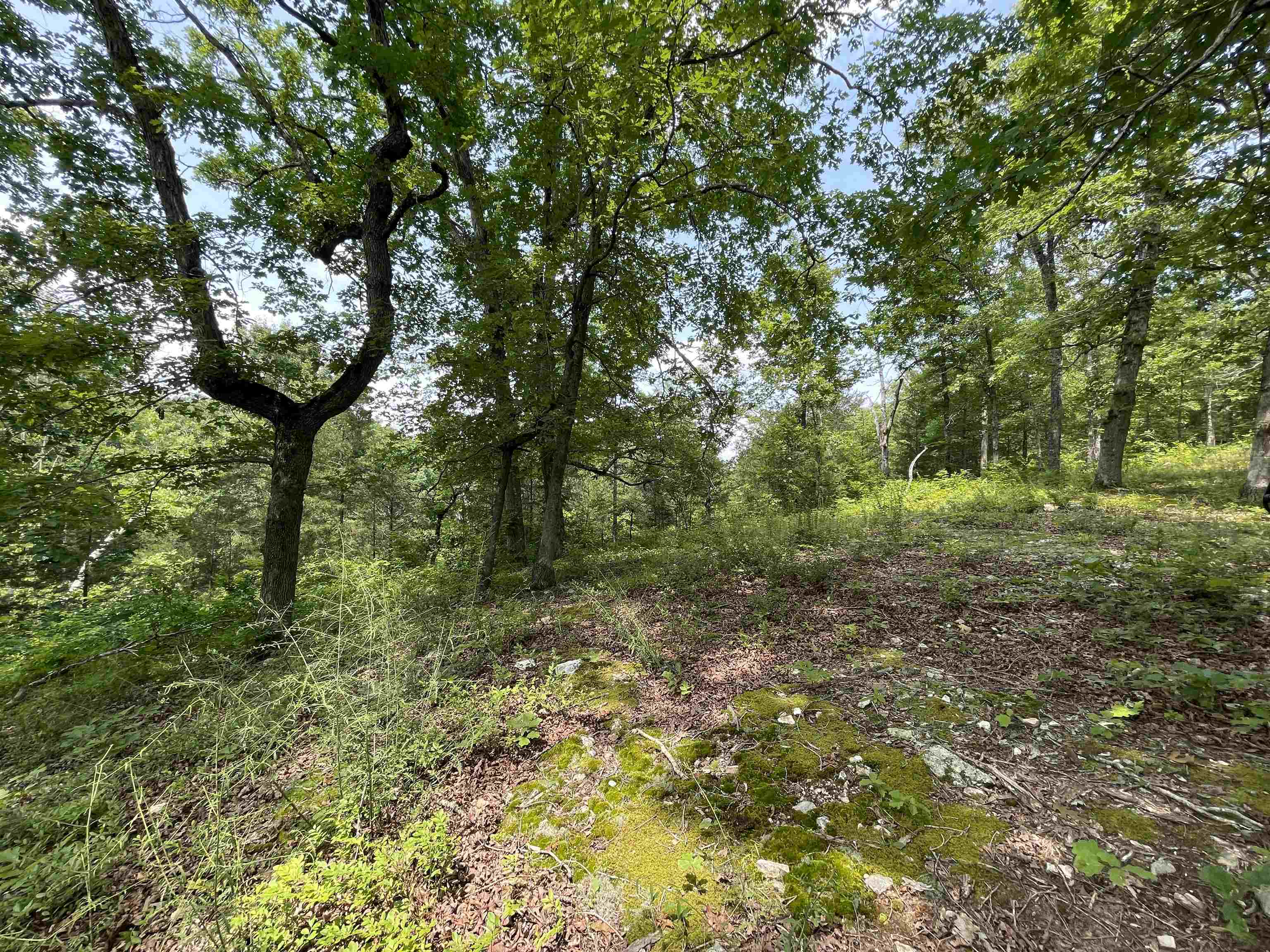 Tbd Off S 63 Highway Highway