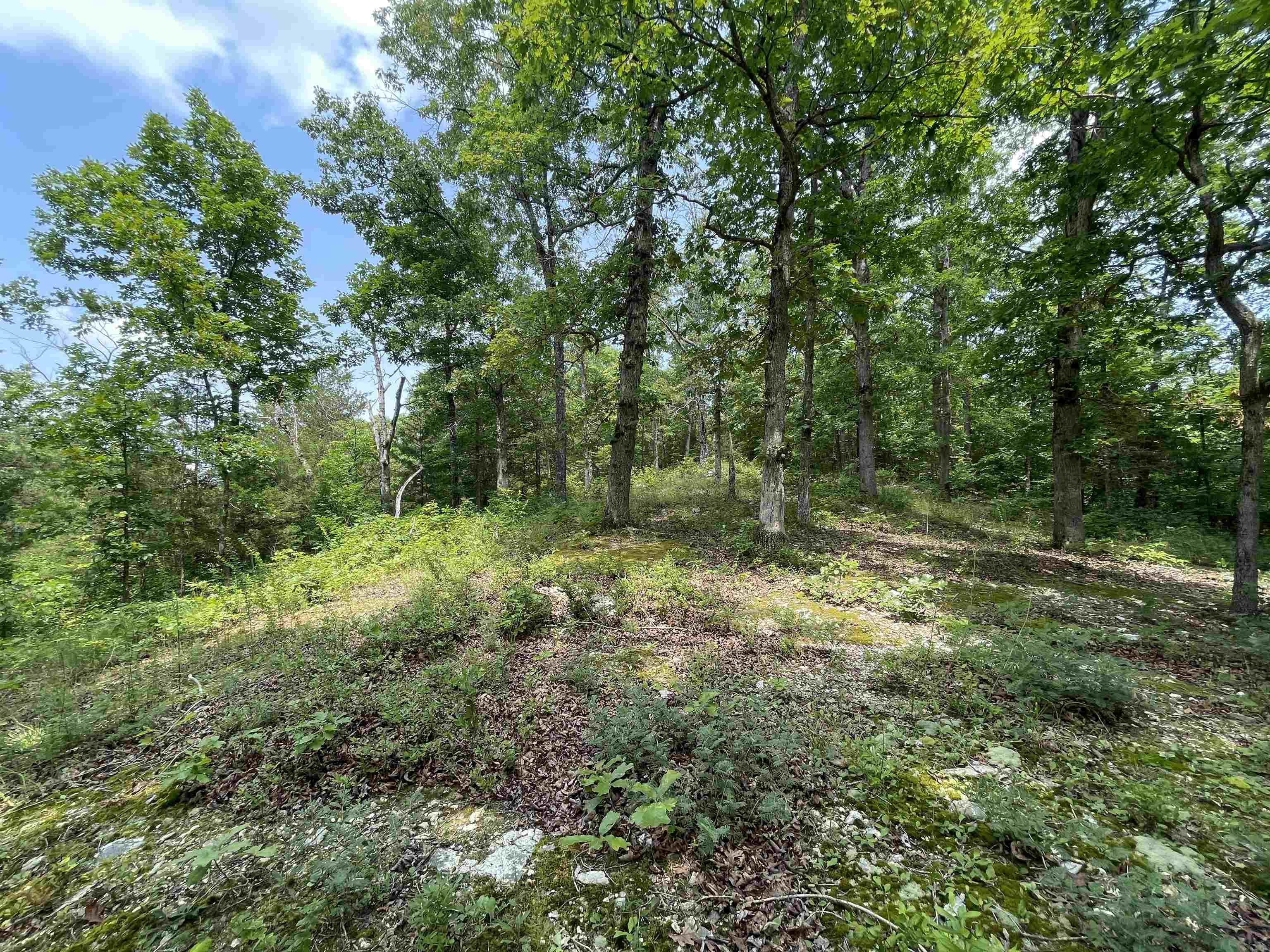 Tbd Off S 63 Highway Highway