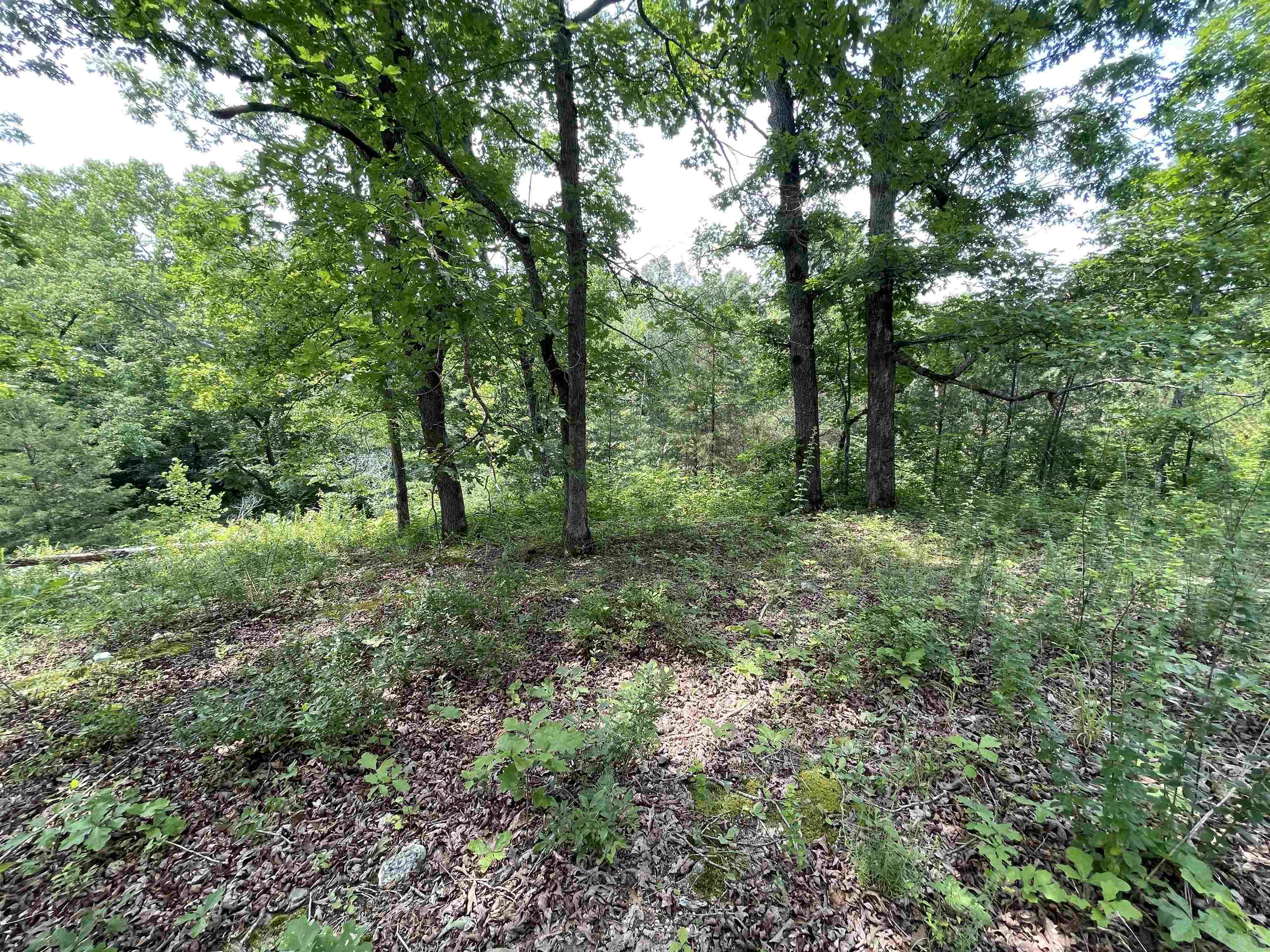 Tbd Off S 63 Highway Highway