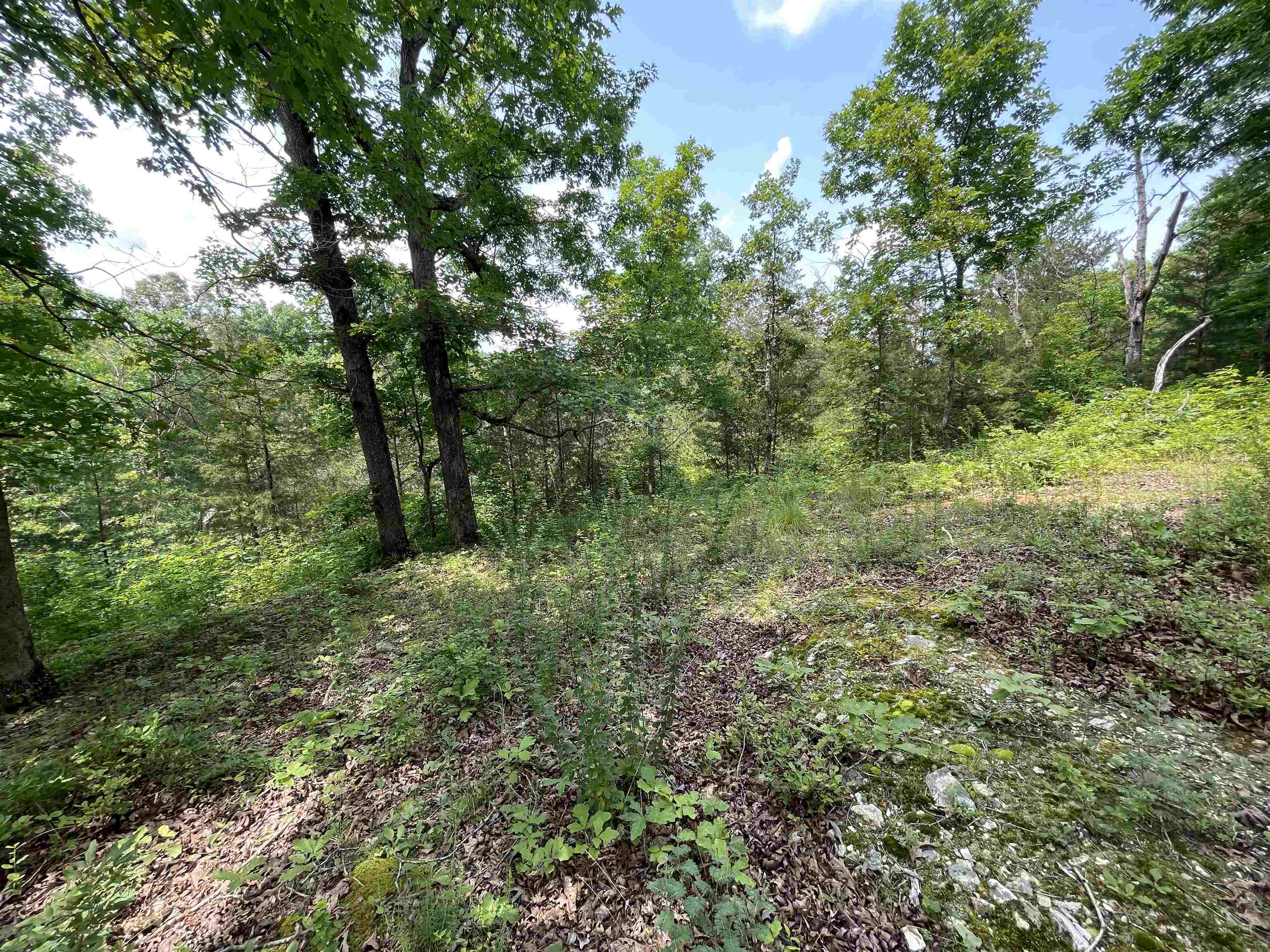 Tbd Off S 63 Highway Highway