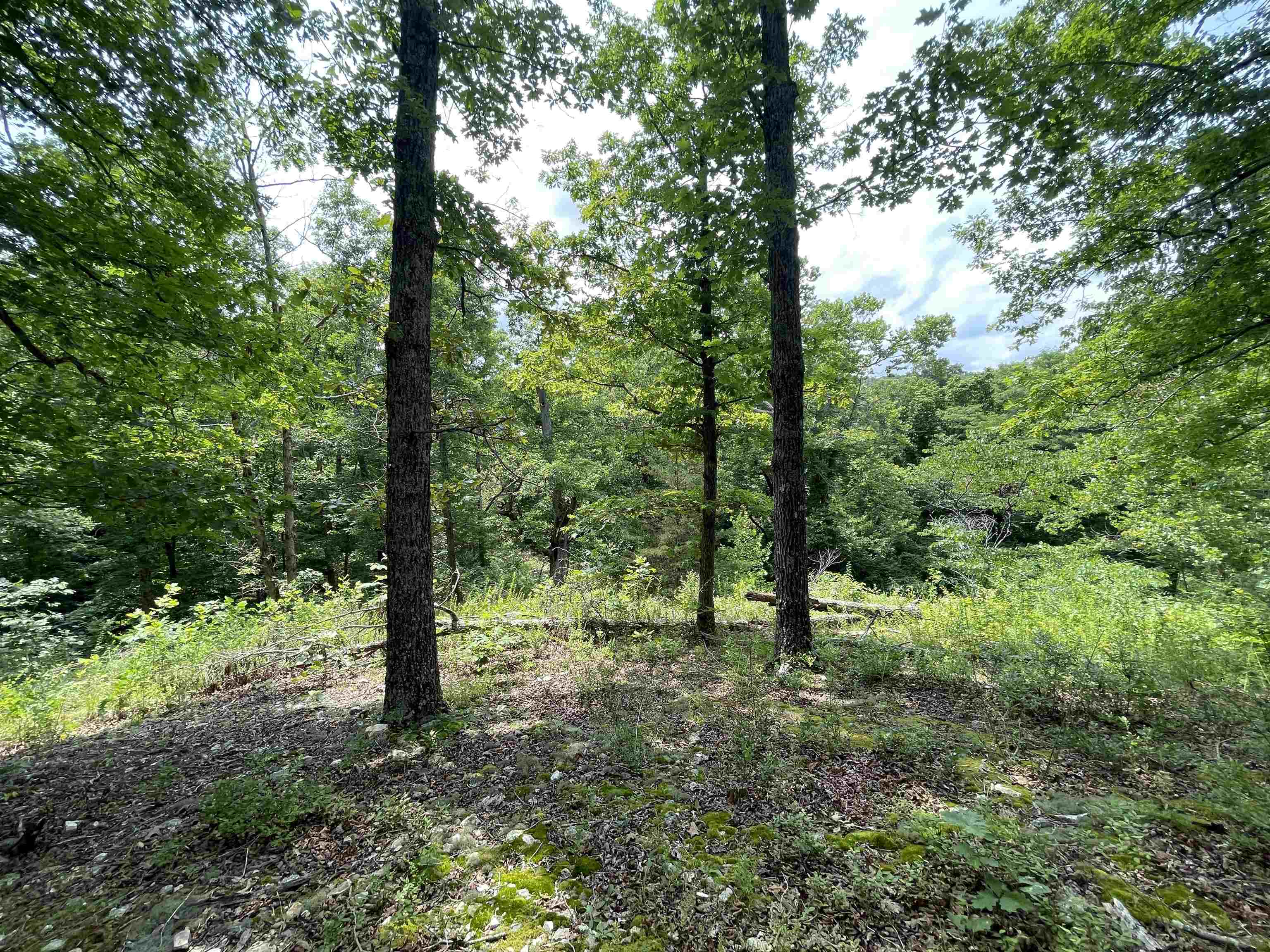Tbd Off S 63 Highway Highway