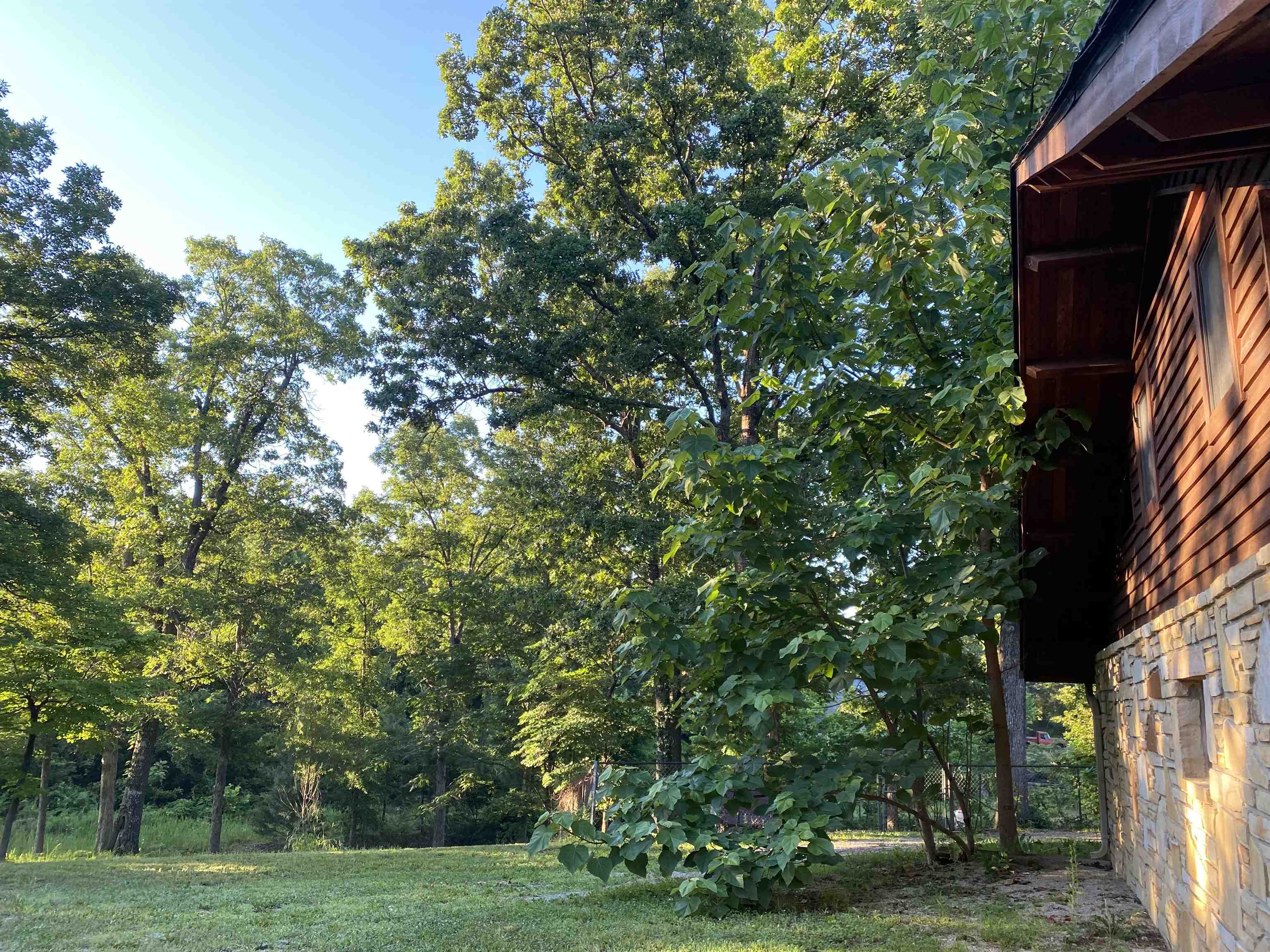 2616 Hwy 62/412  Highland, AR
