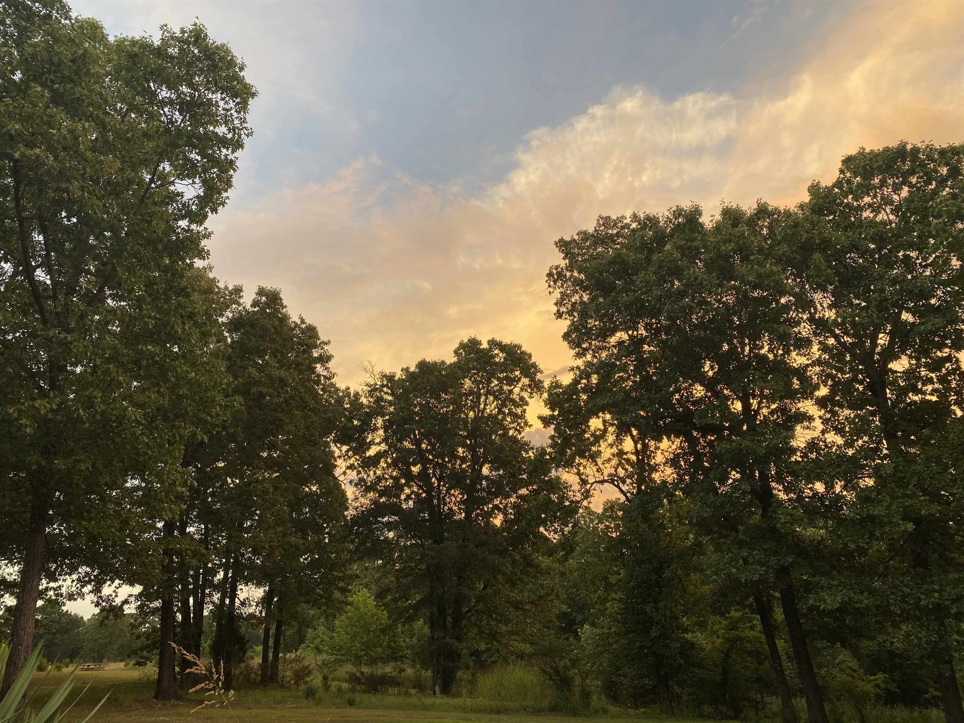 2616 Hwy 62/412  Highland, AR