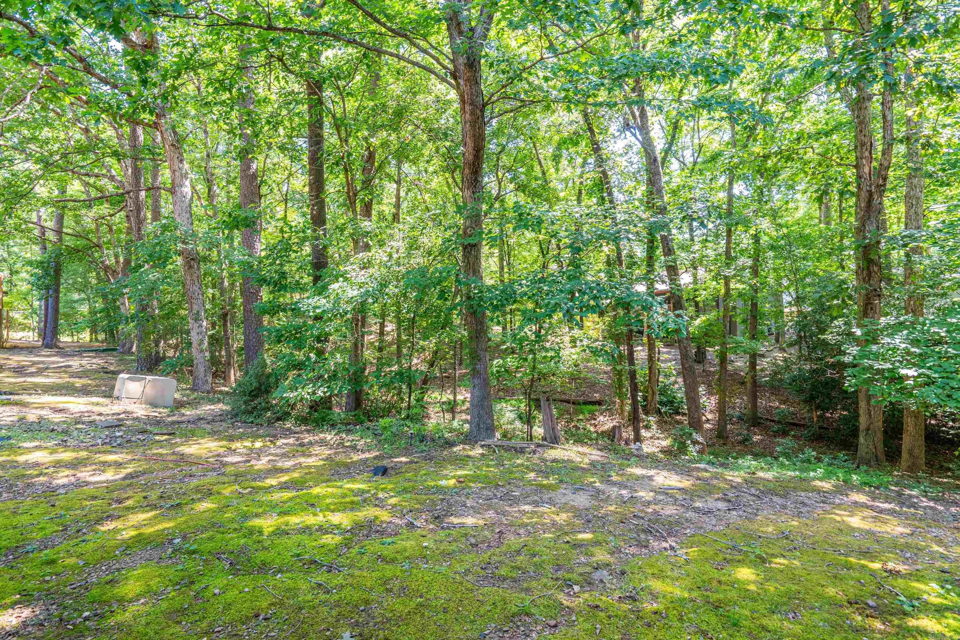 16 Reddina  Hot Springs Village, AR