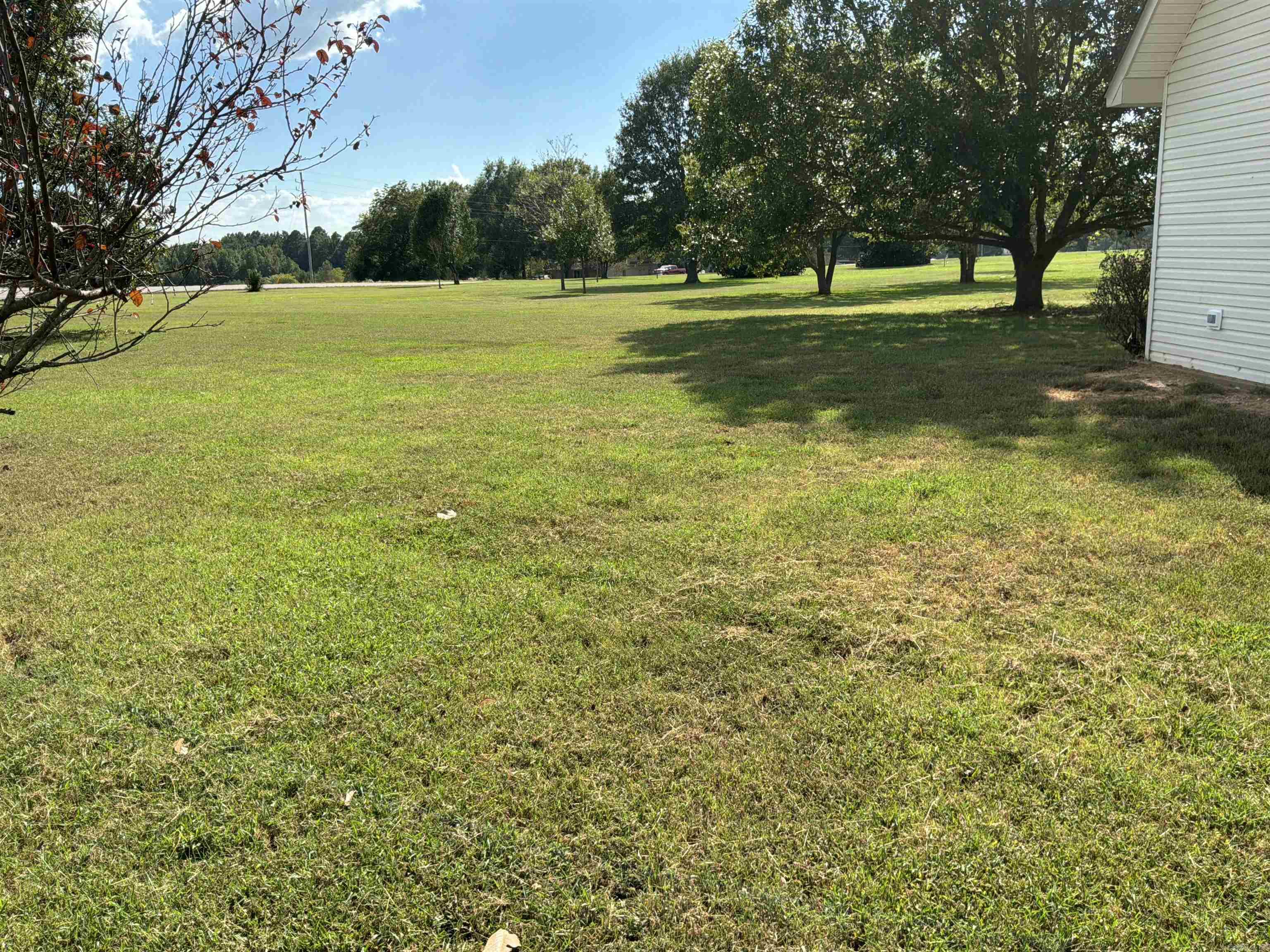 3 Elberta  Nashville, AR