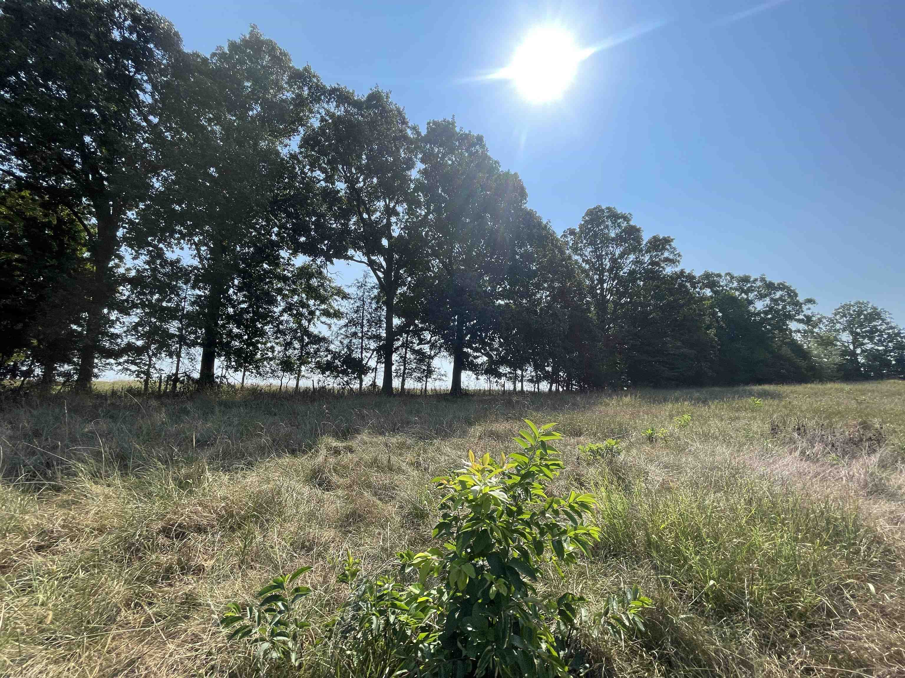 2686 Heart  Glencoe, AR