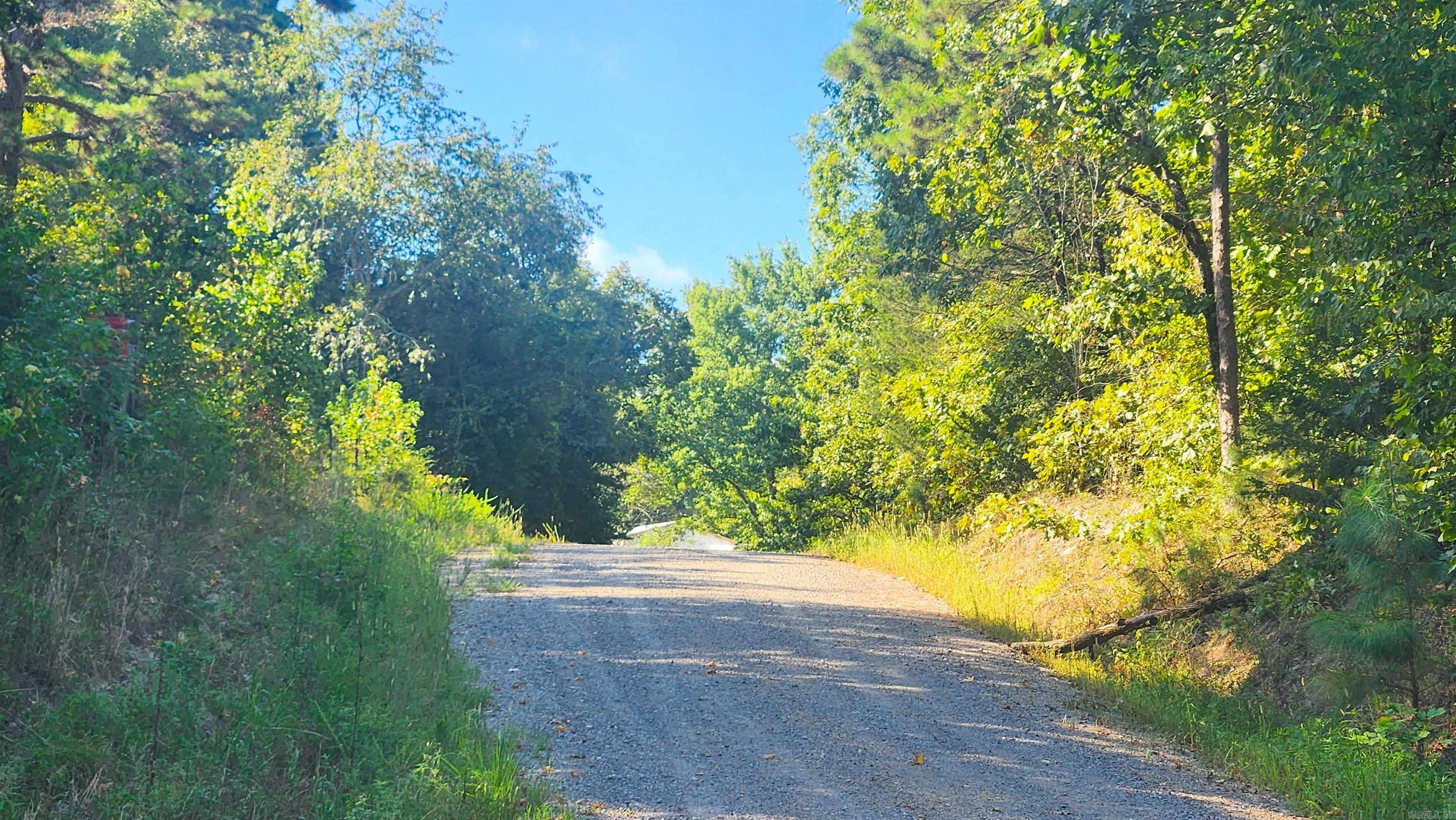 49 Bobby's Lane  Caddo Gap, AR