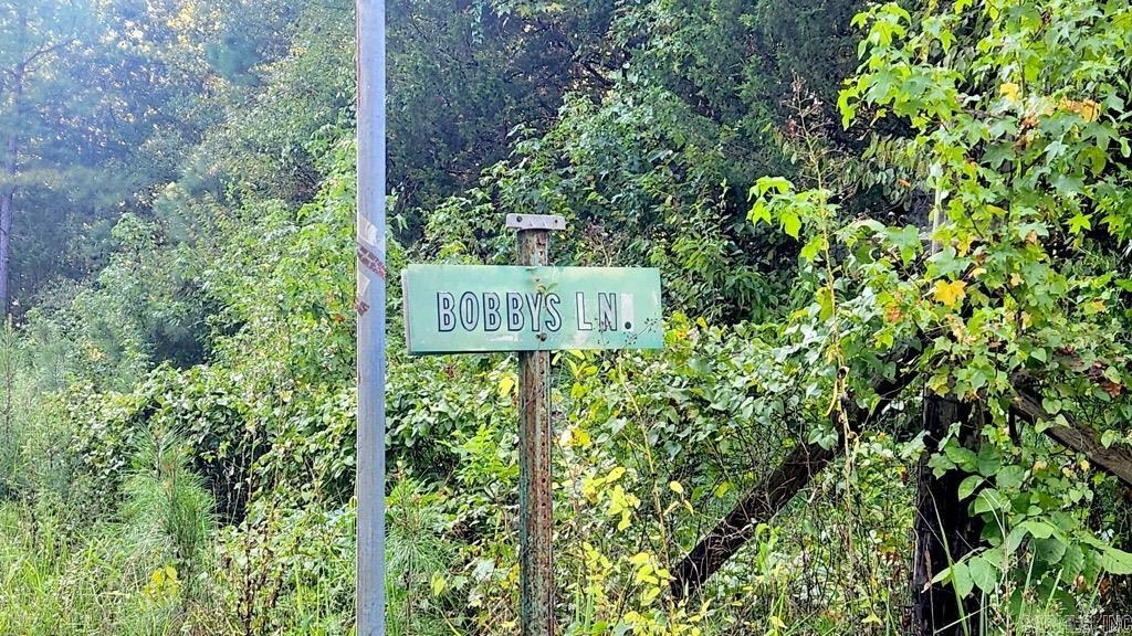 49 Bobby's Lane  Caddo Gap, AR