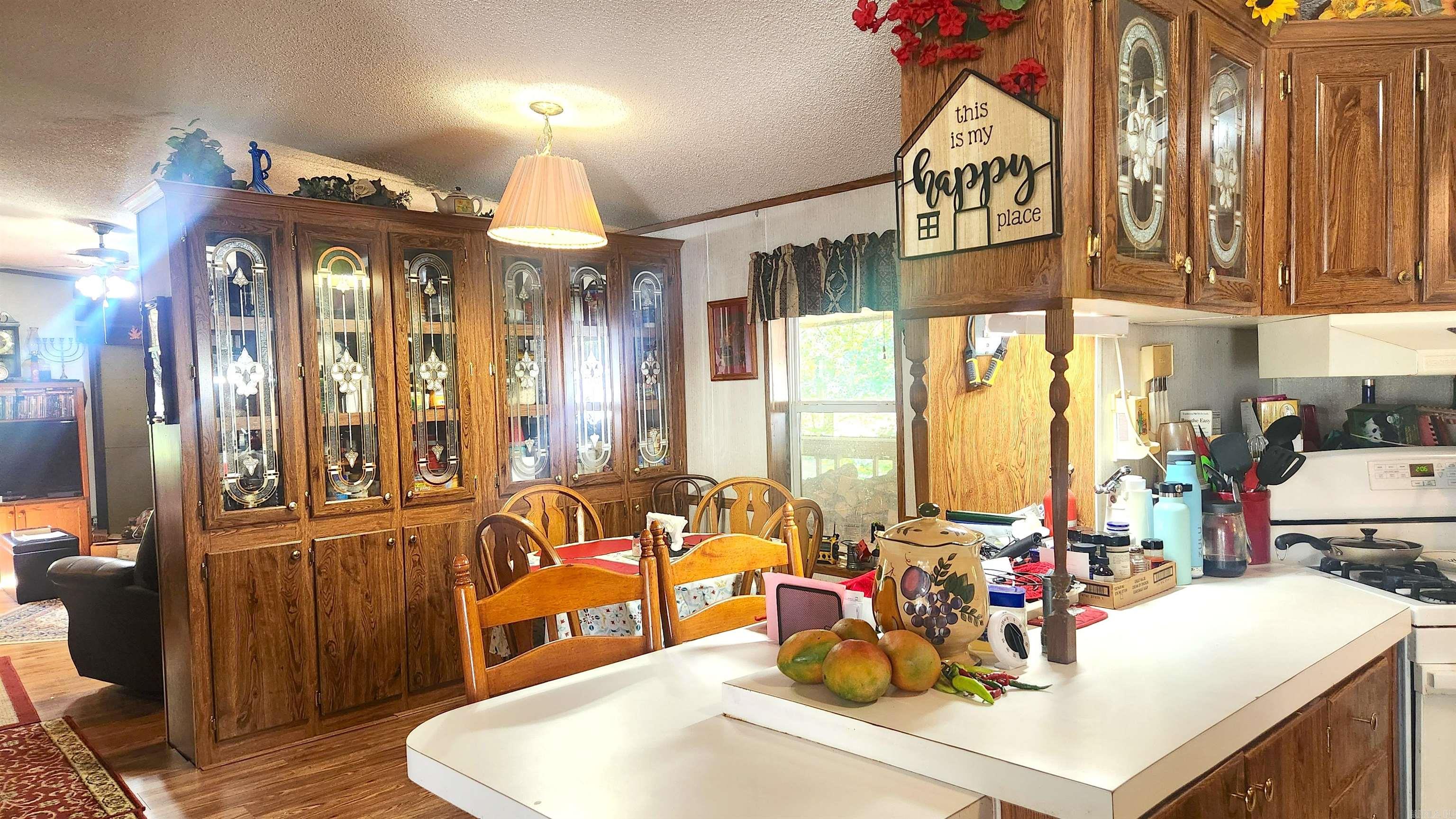 49 Bobby's Lane  Caddo Gap, AR