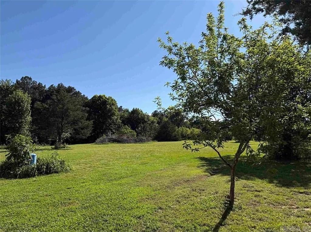 6233 Sunny Fox Rd  Mountain View, AR