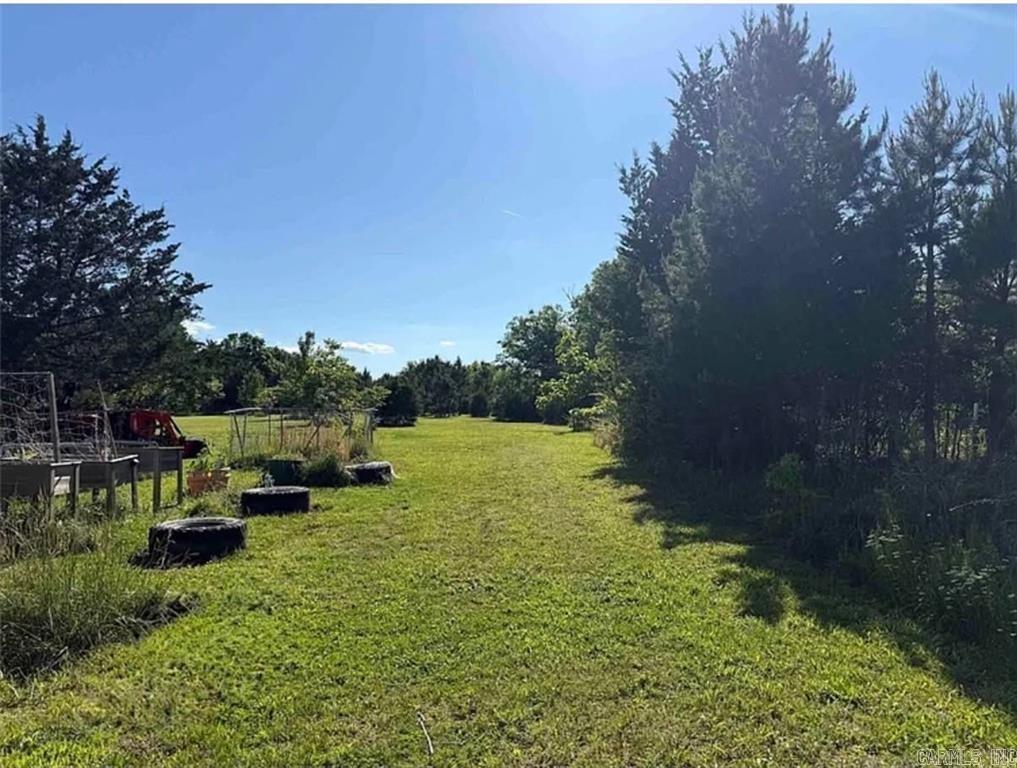 6233 Sunny Fox Rd  Mountain View, AR