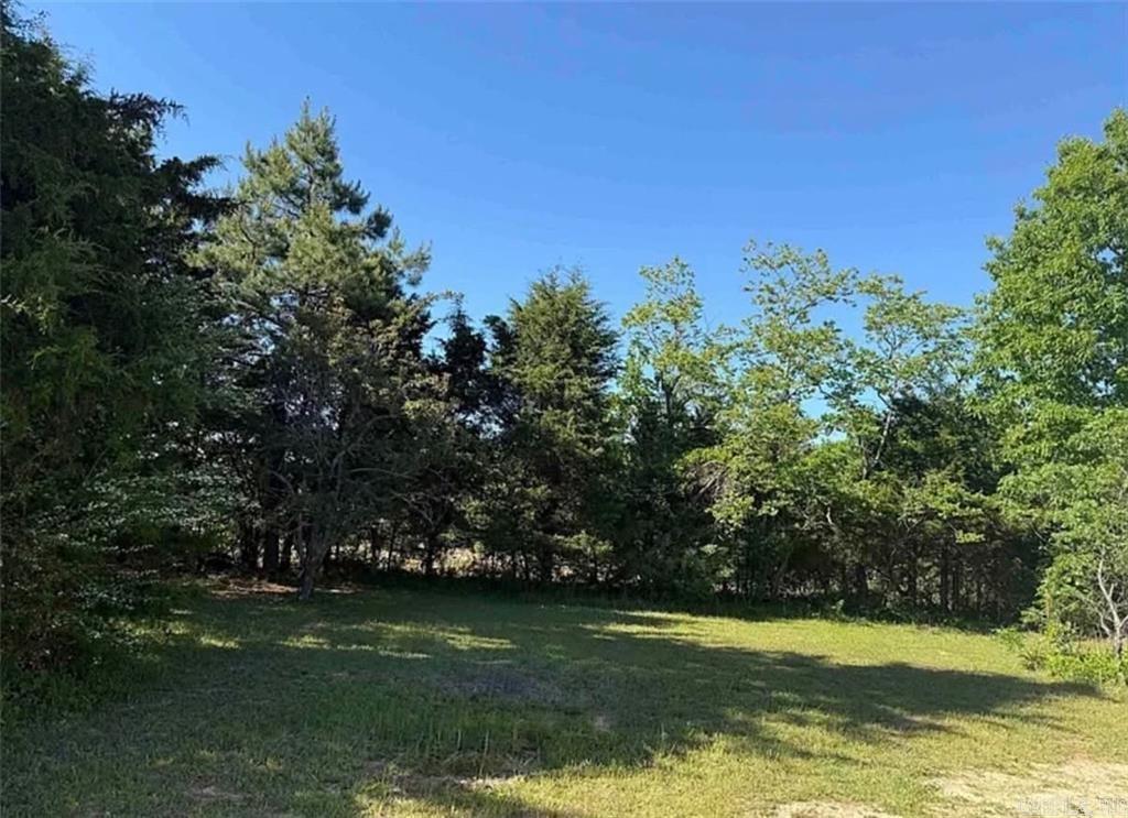 6233 Sunny Fox Rd  Mountain View, AR