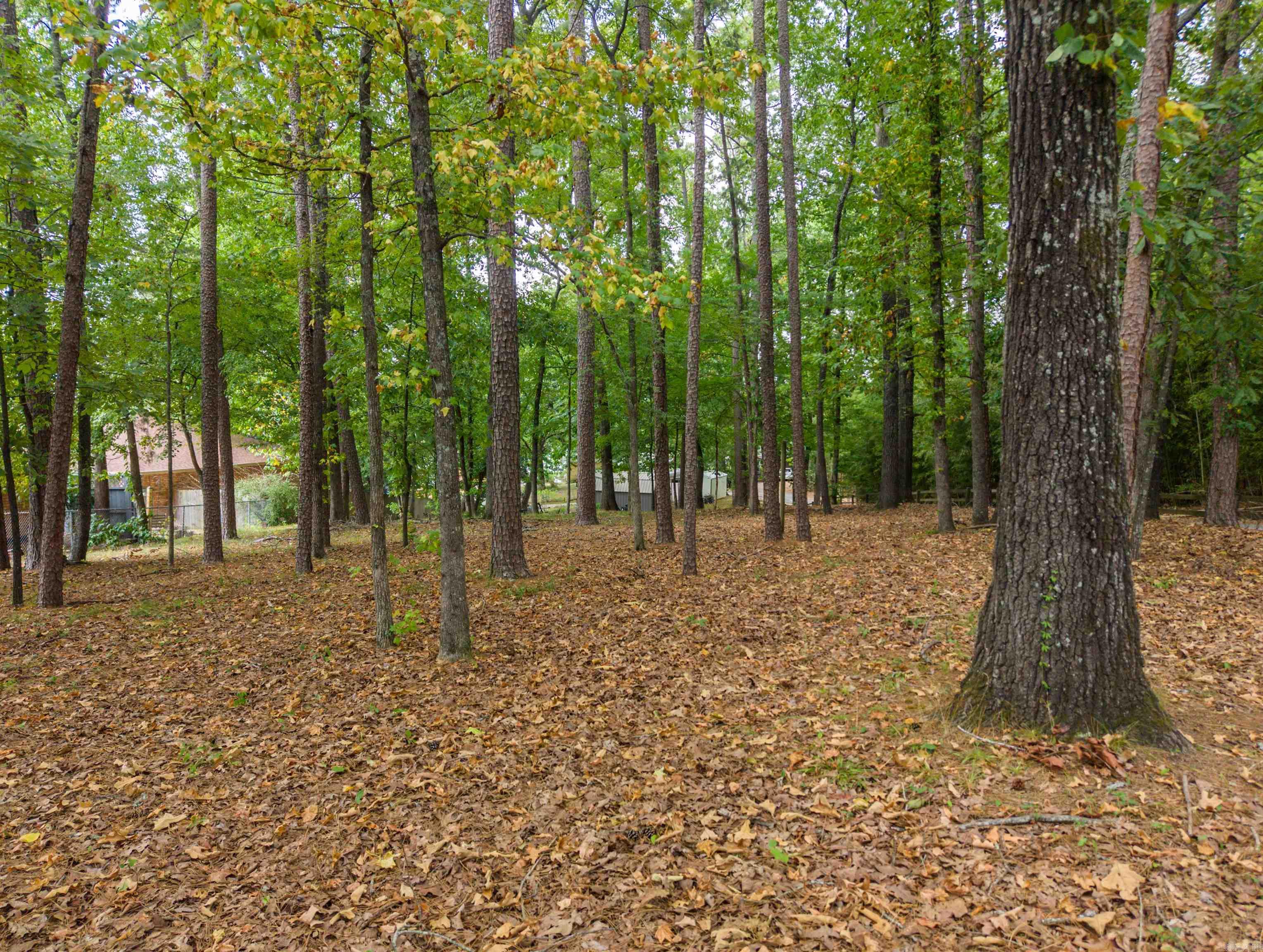 130 Brundage  Hot Springs, AR