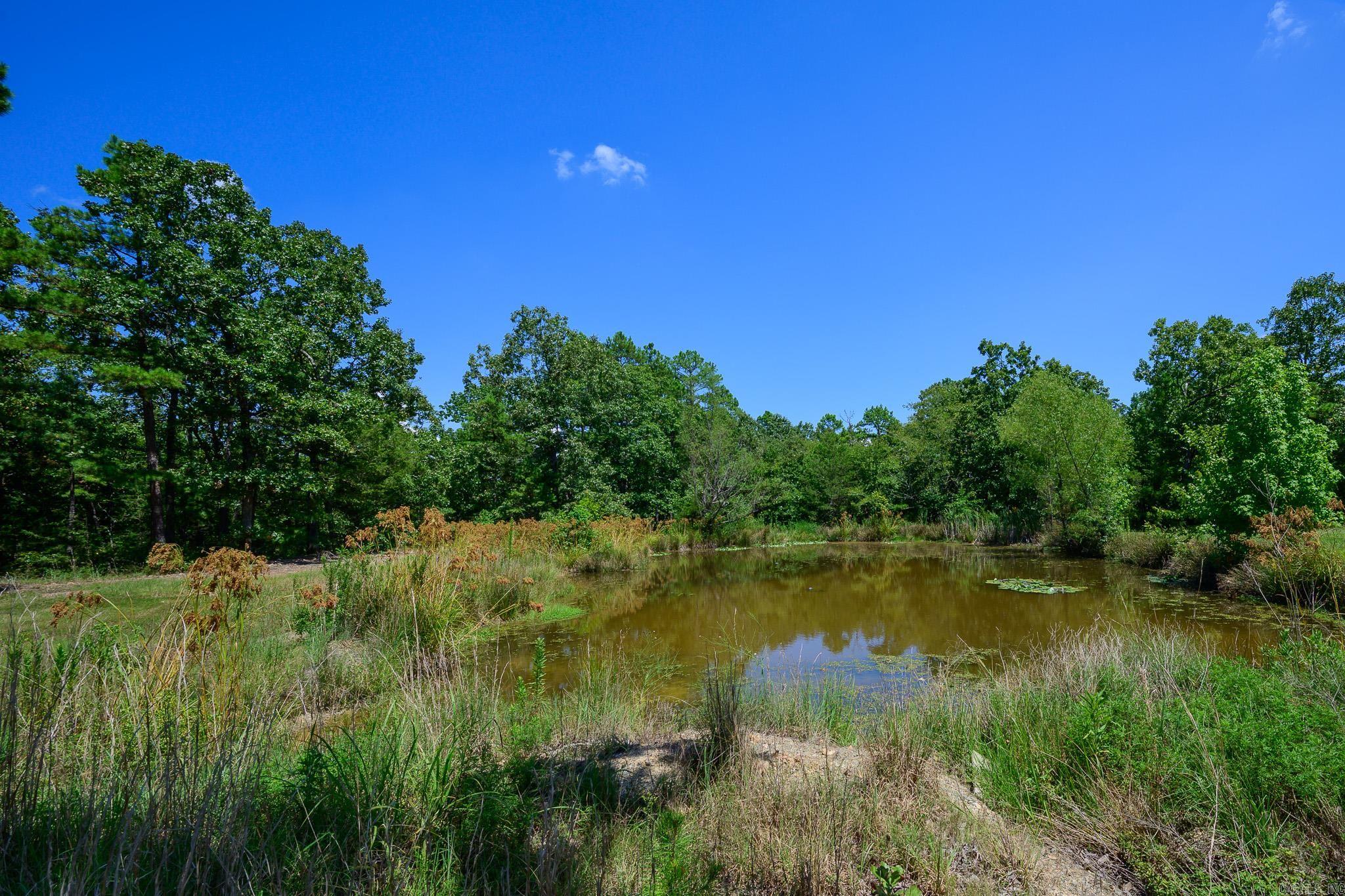 132 Polk Road 676  Mena, AR