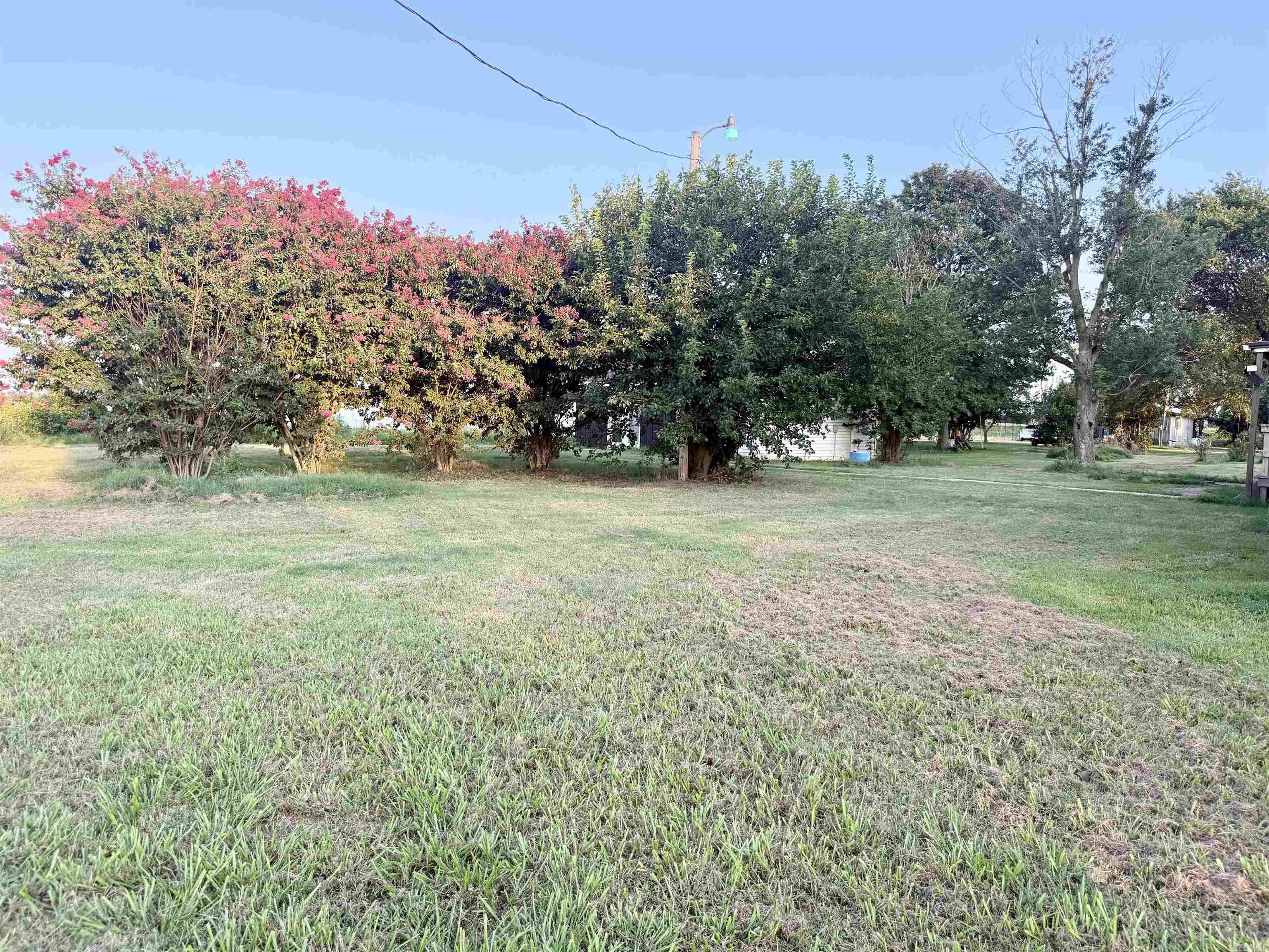 1547 S Highway 135  Paragould, AR