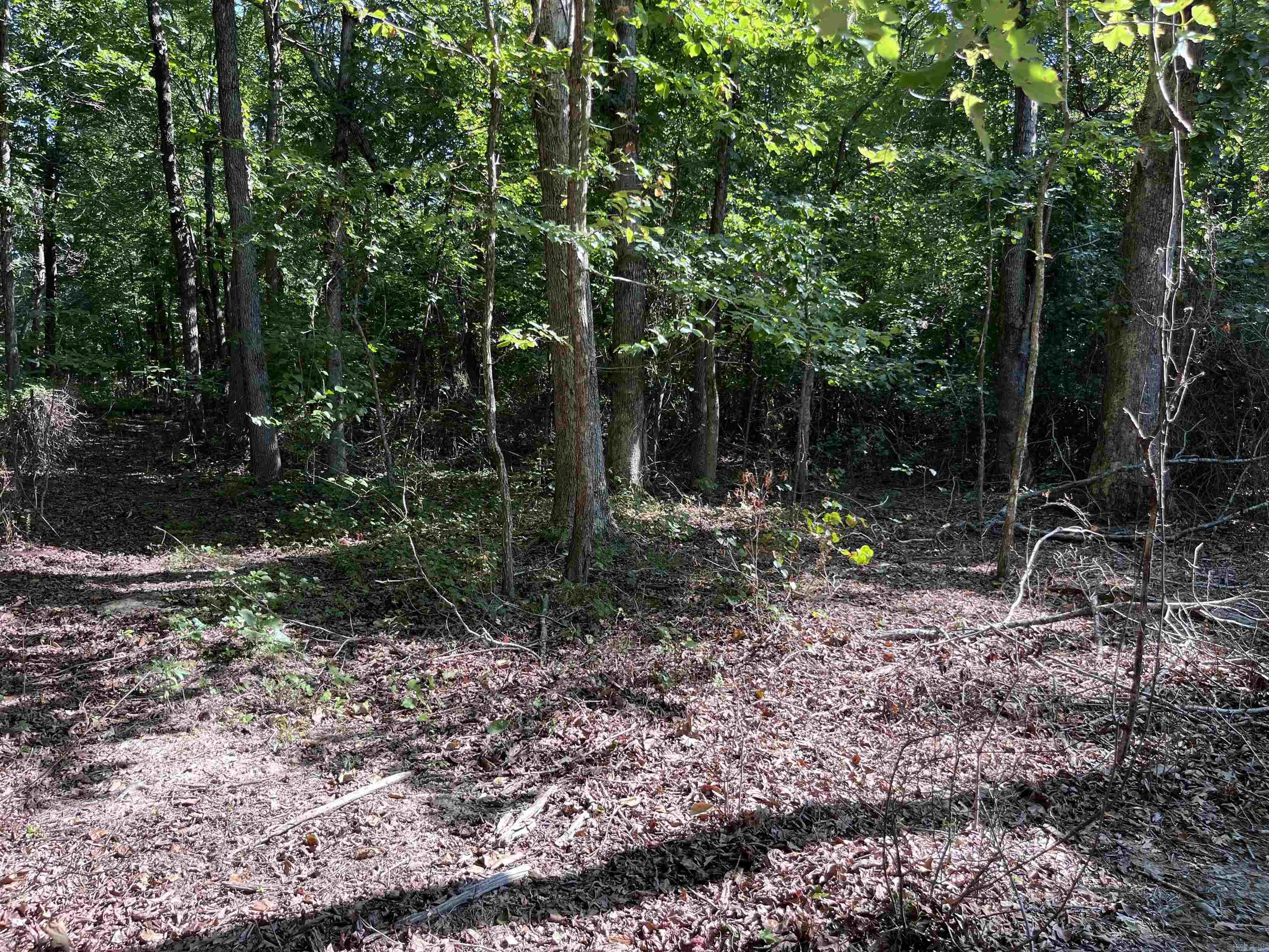 2076 Jimmy Creek  Fox, AR