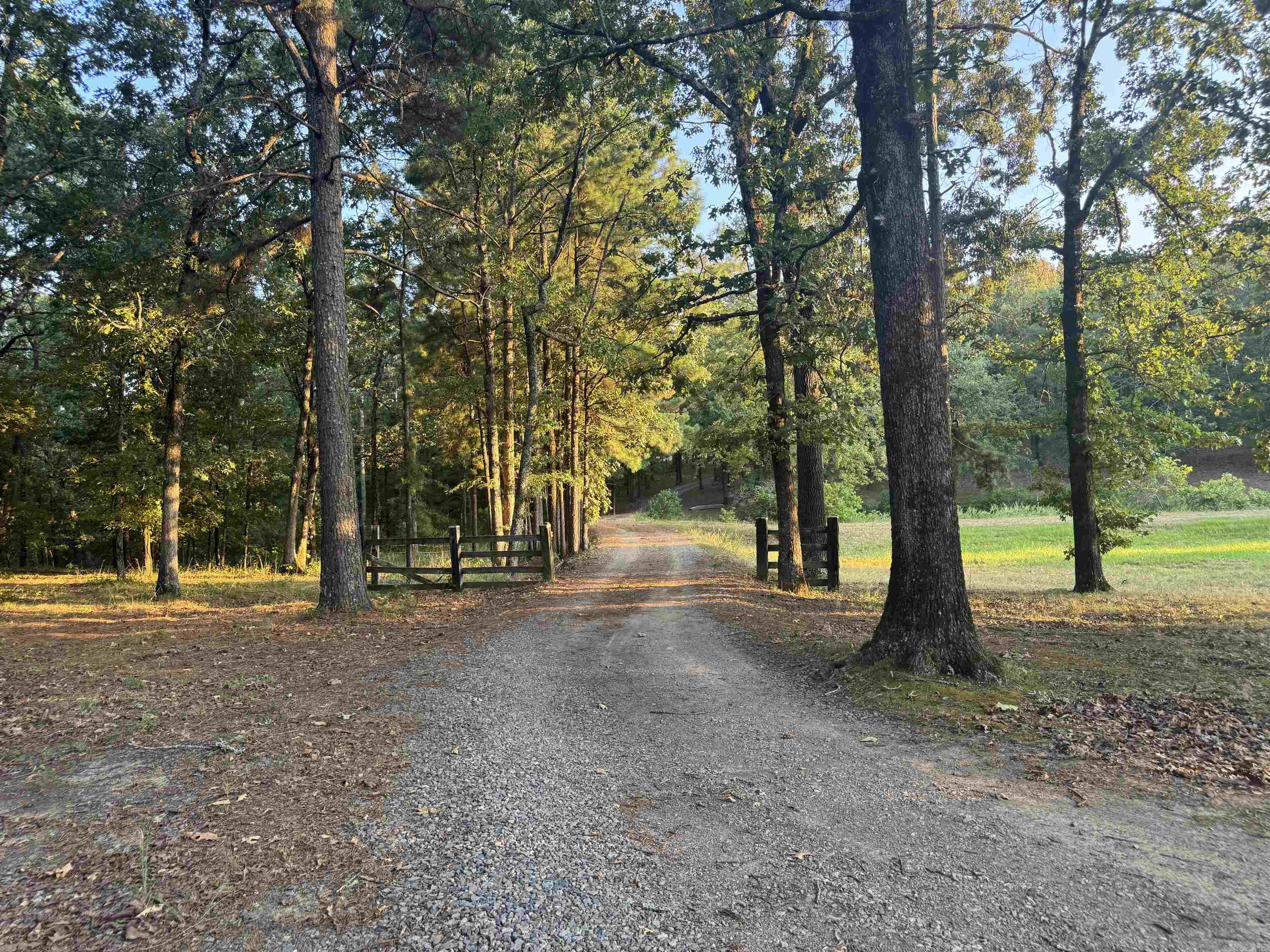 56 Brandon  Mayflower, AR