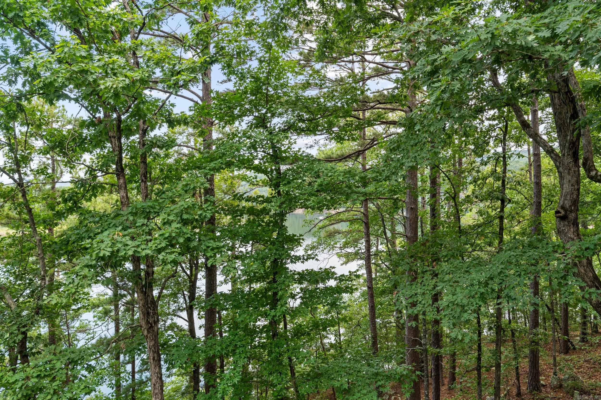 300 Sally Ann Drive  Shirley, AR