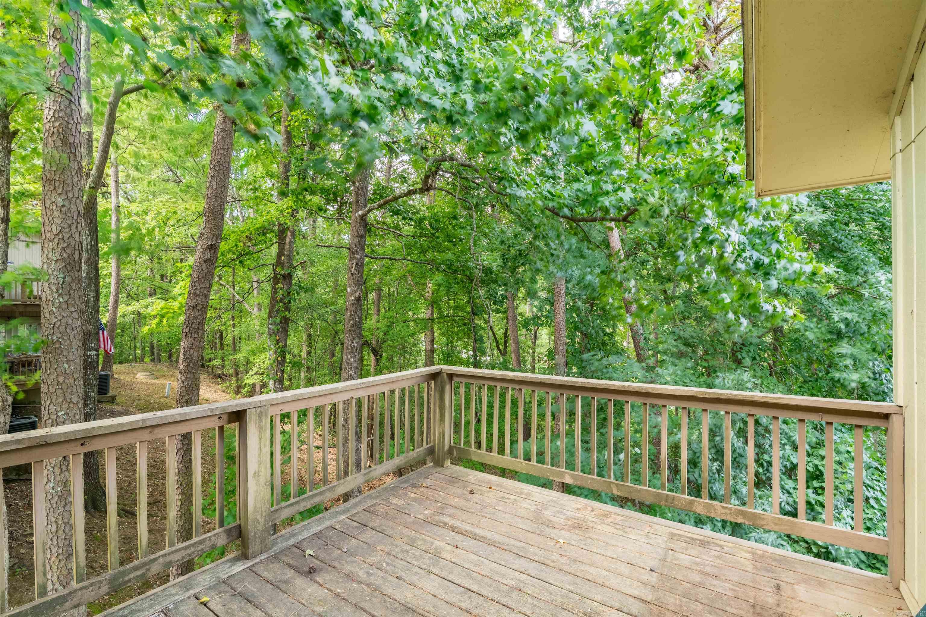 21 Vaqueria Lane  Hot Springs Village, AR