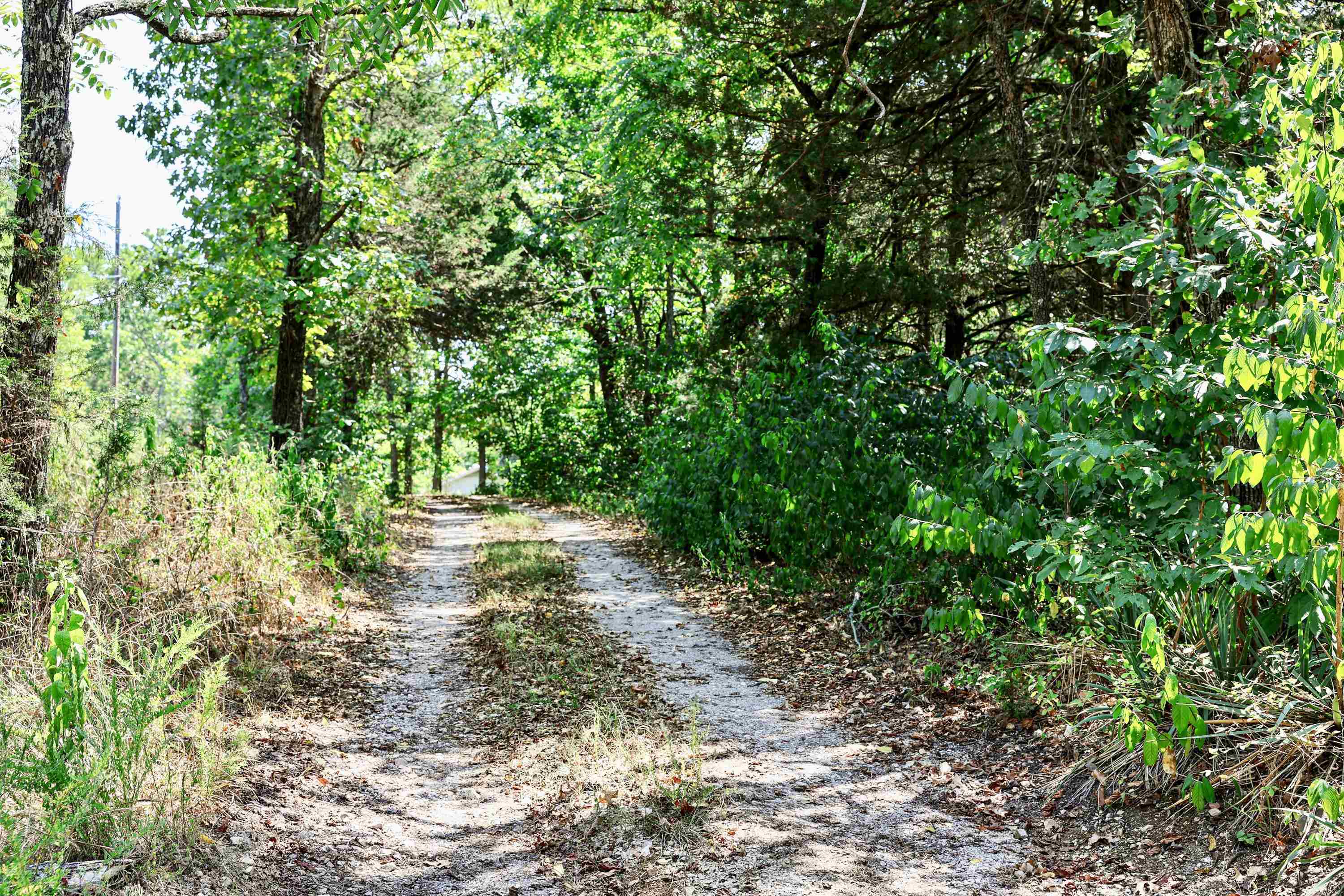 639 E Campground Road  Ash Flat, AR