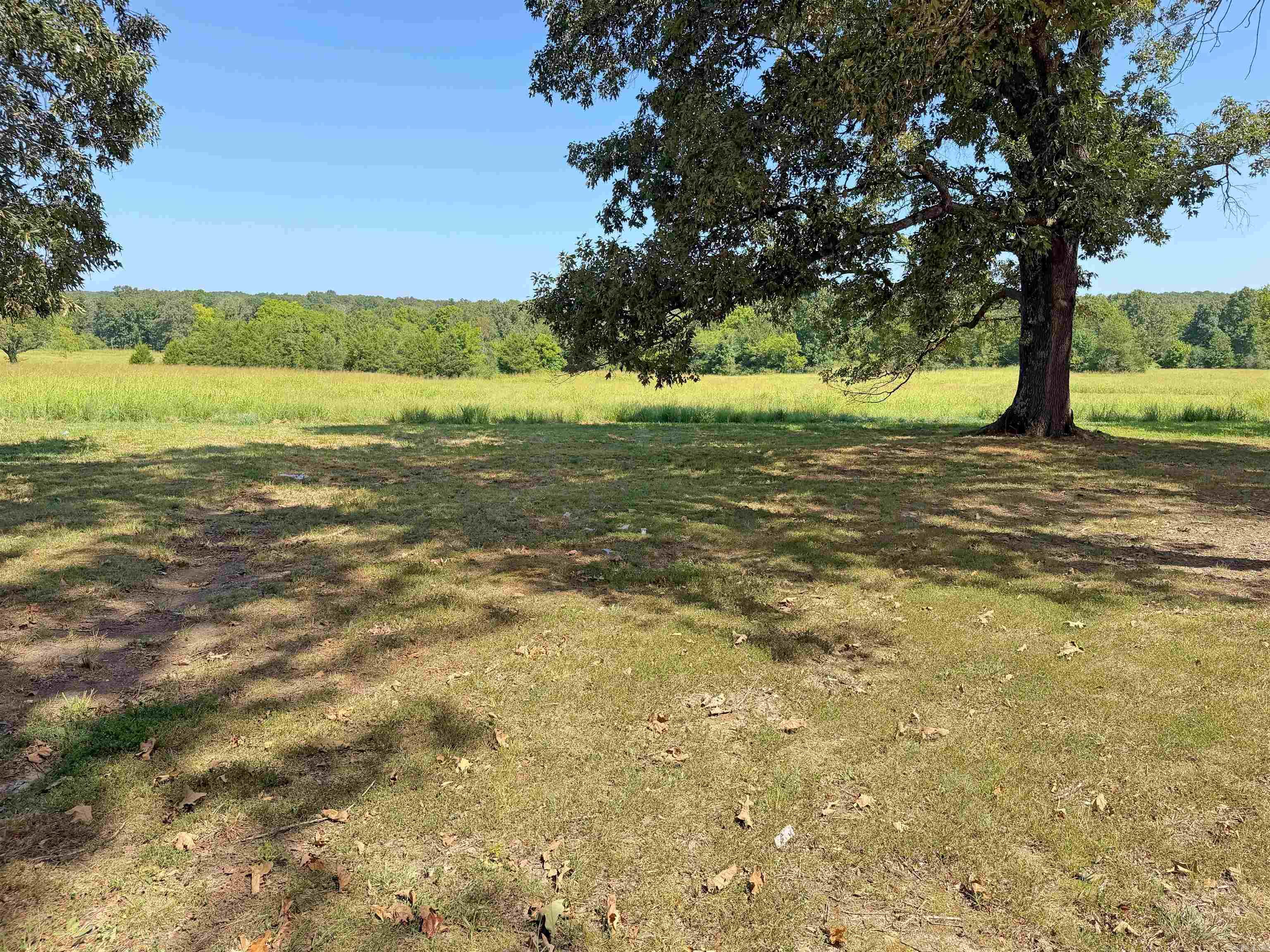 101 Summer Meadows  Mountain View, AR