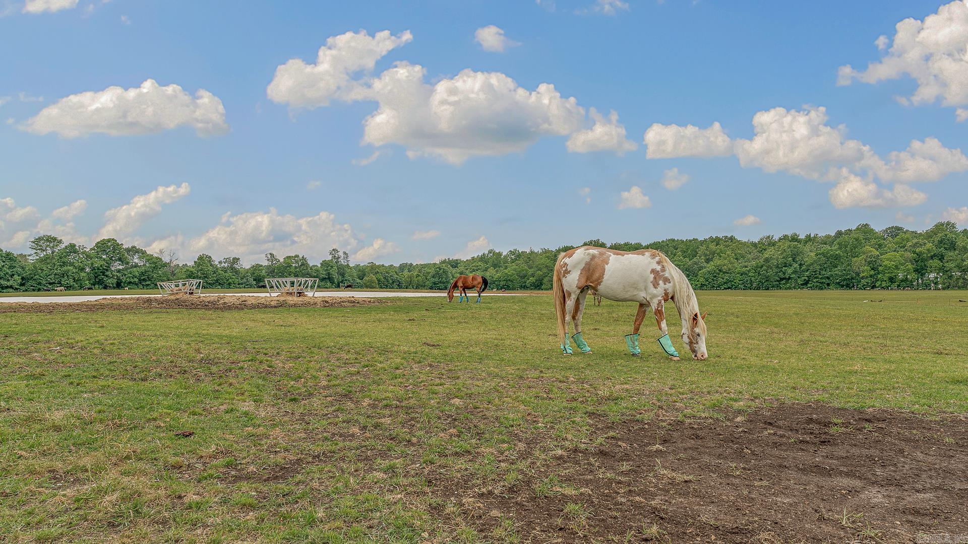 1323 CR 304  Jonesboro, AR