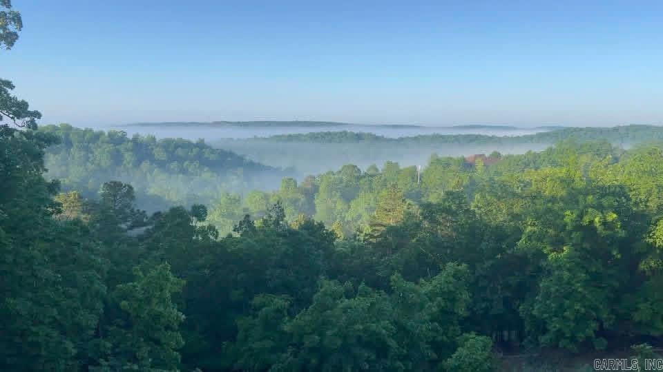 4 Gray Hawk  Paron, AR
